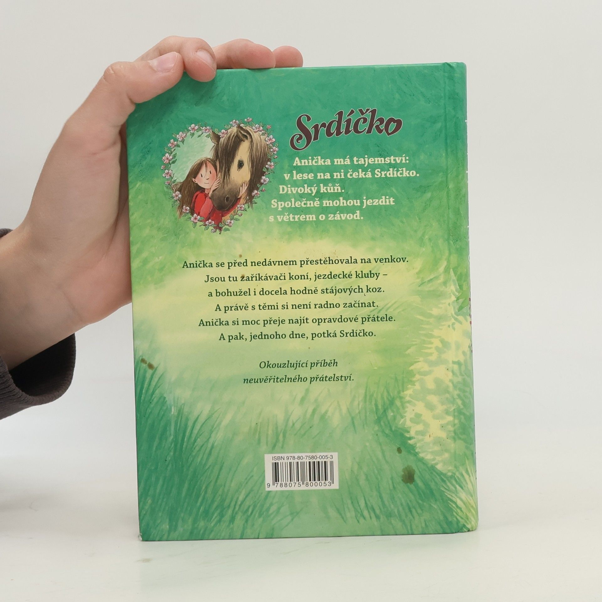 Usch Luhn Srdíčko. Anička najde poníka