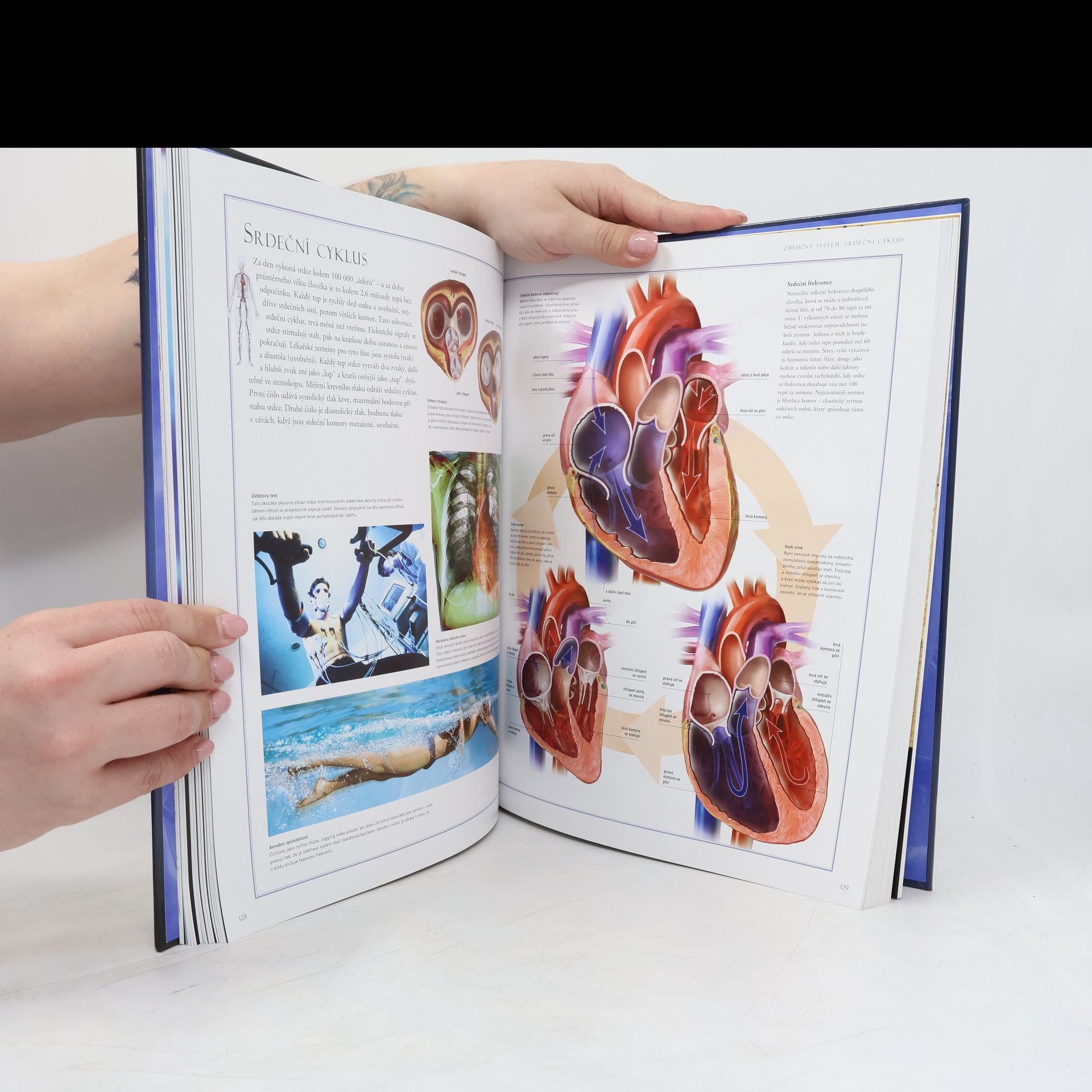 Beverly McMillan Velký ilustrovaný atlas lidského těla