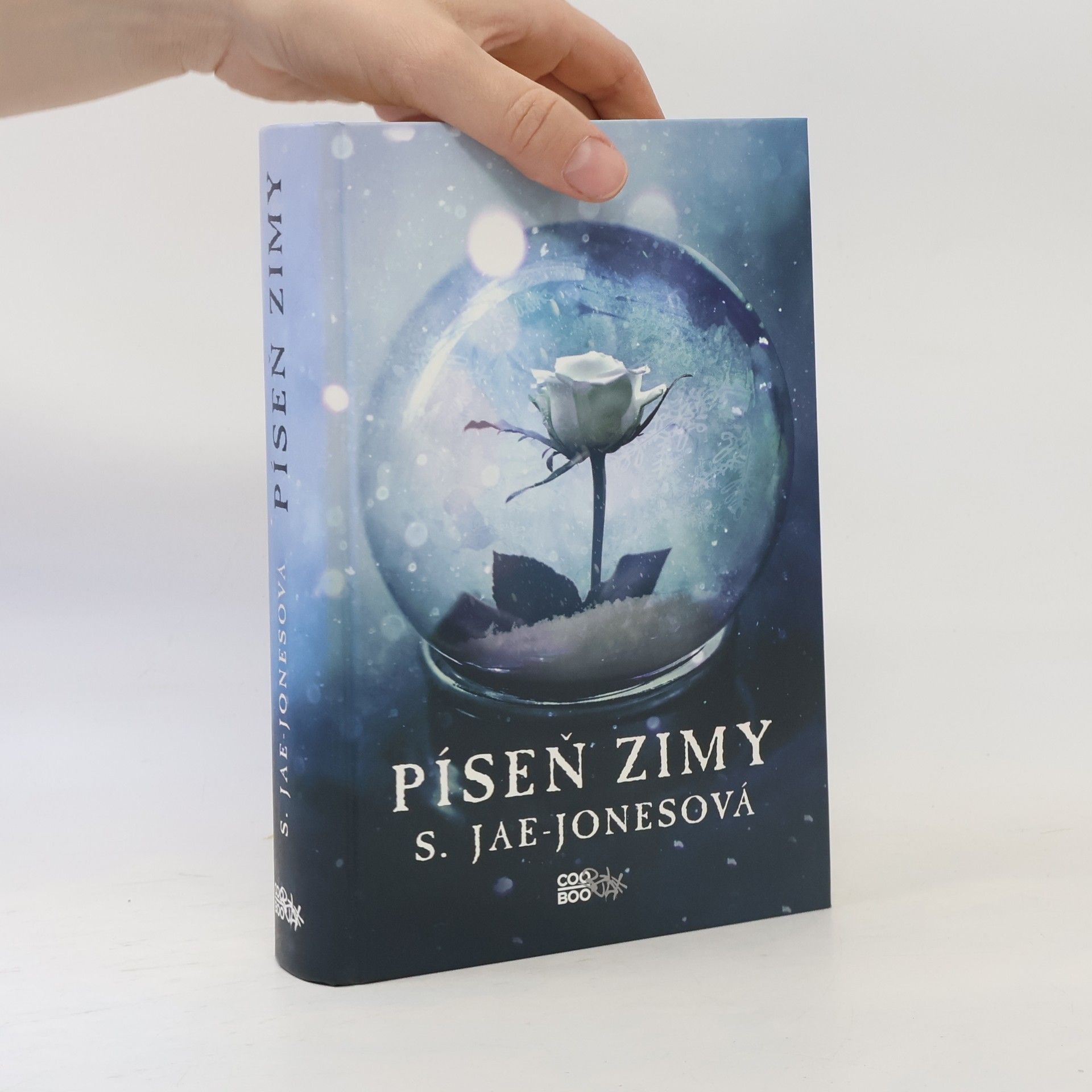S. Jae-Jones Píseň zimy