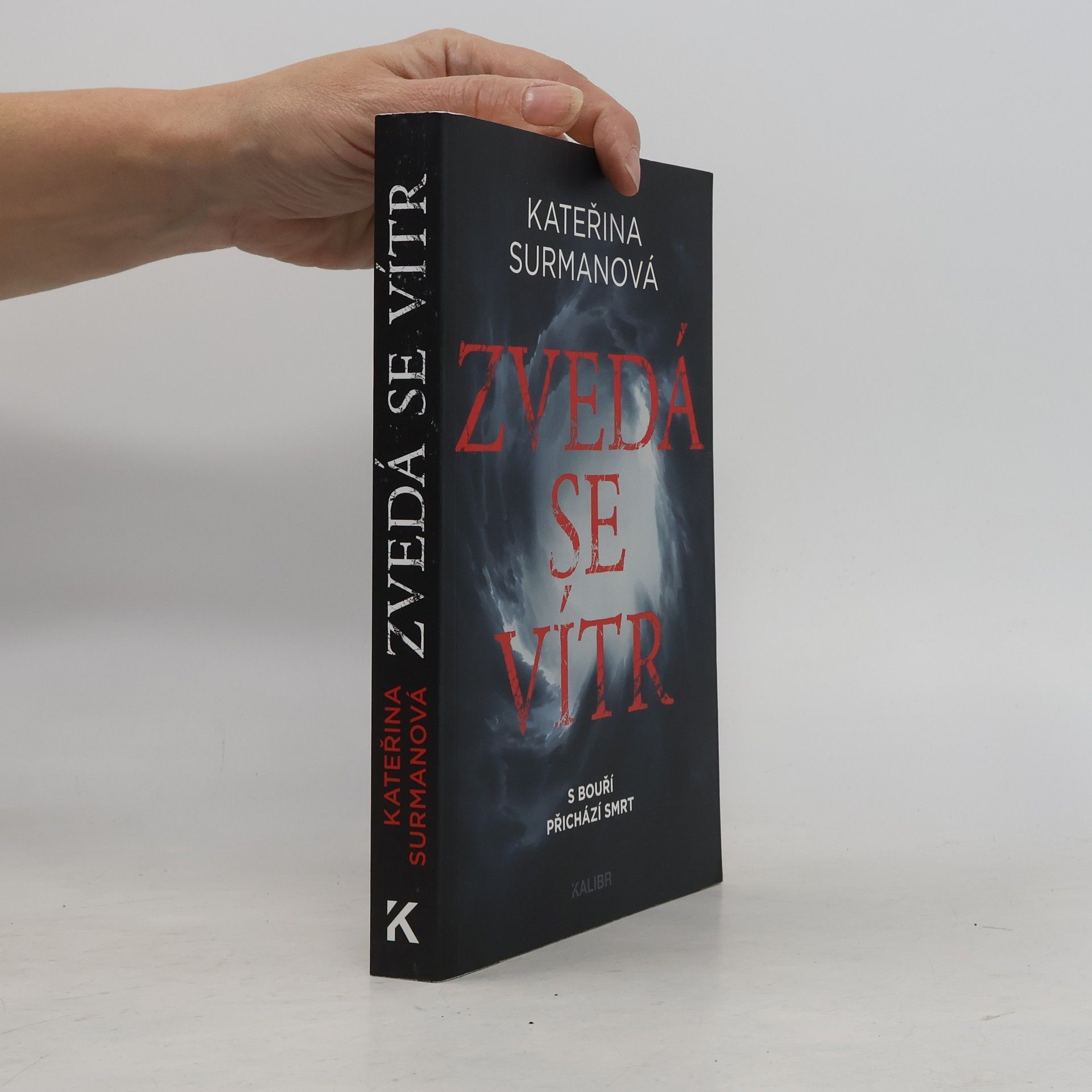 Kateřina Surmanová Zvedá se vítr