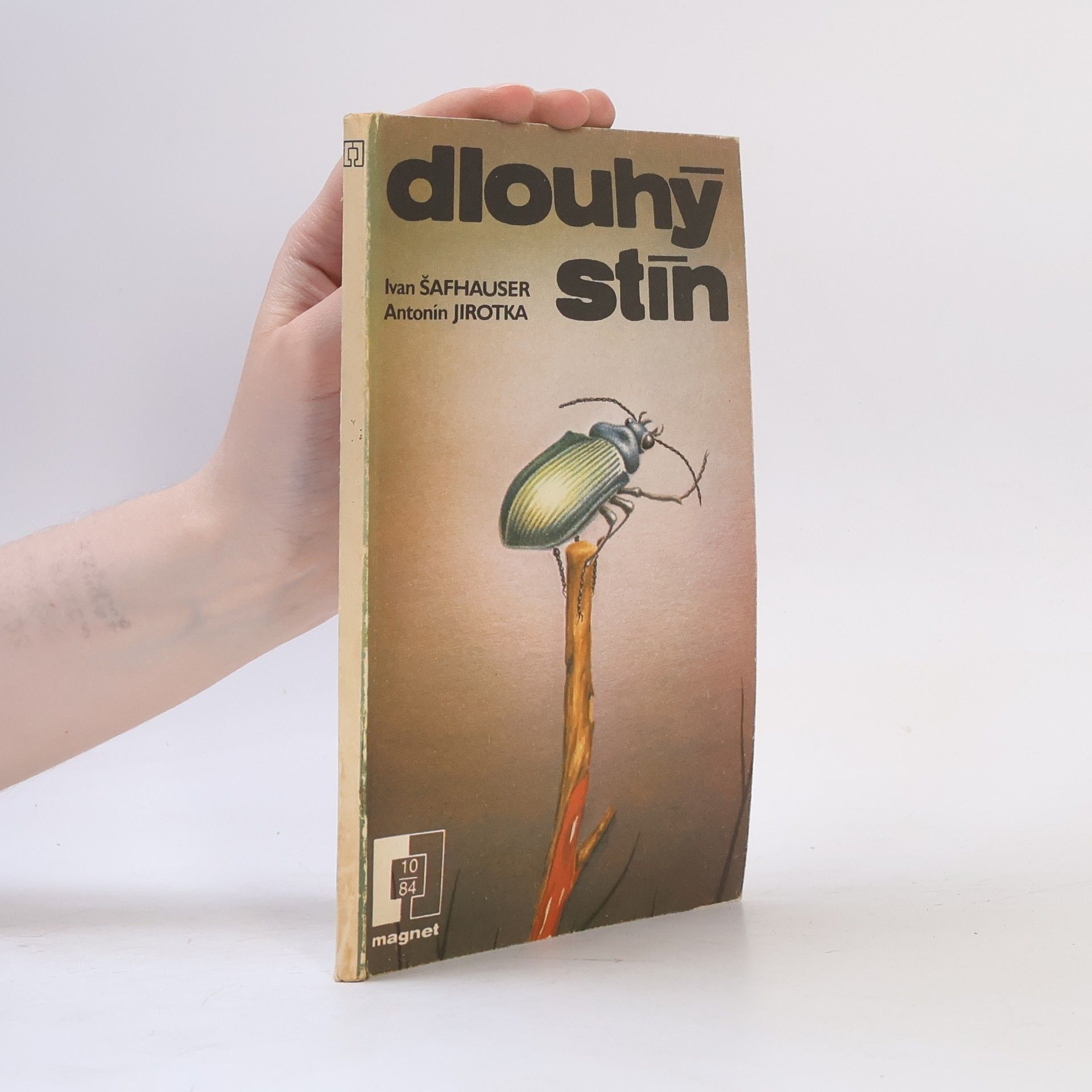 Dlouhý stín