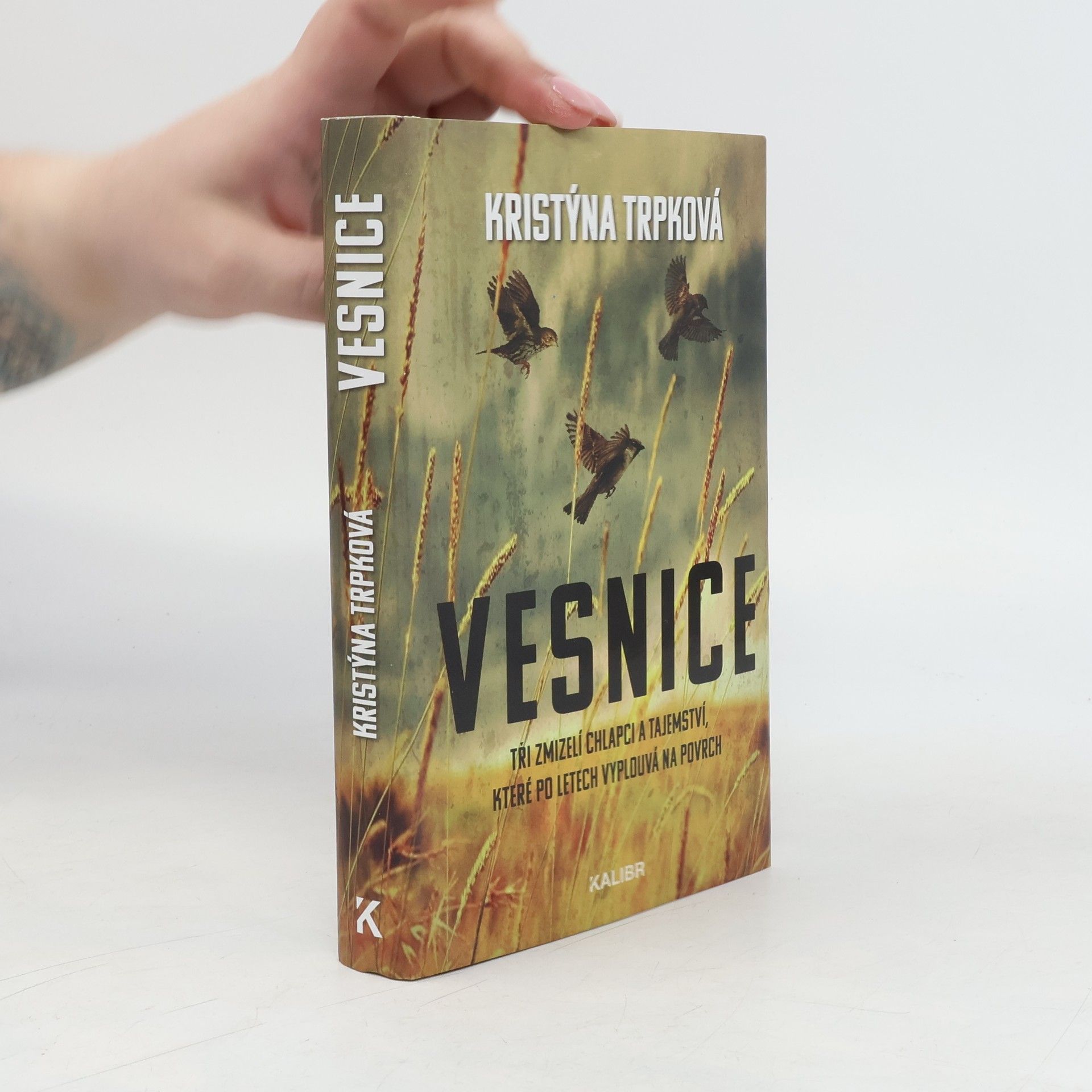 Vesnice