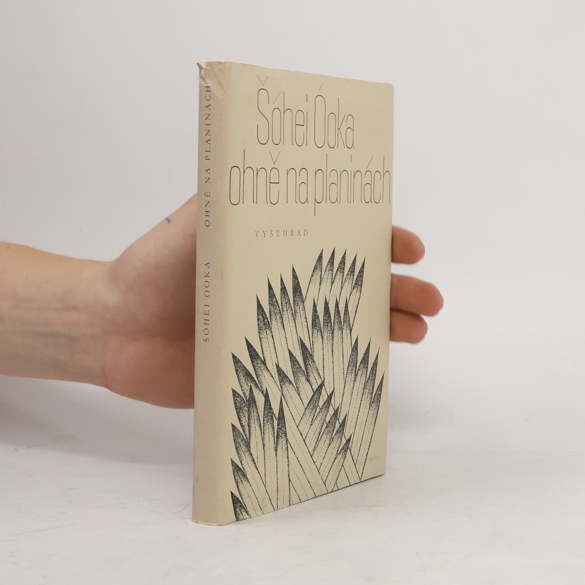 Shōhei Ōoka Ohně na planinách