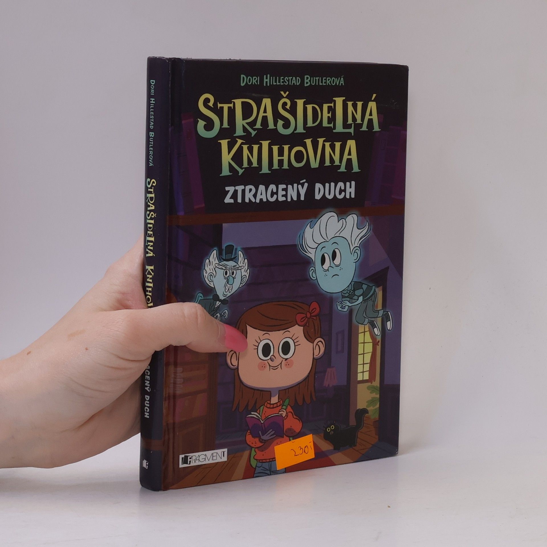 Strašidelná knihovna. Ztracený duch