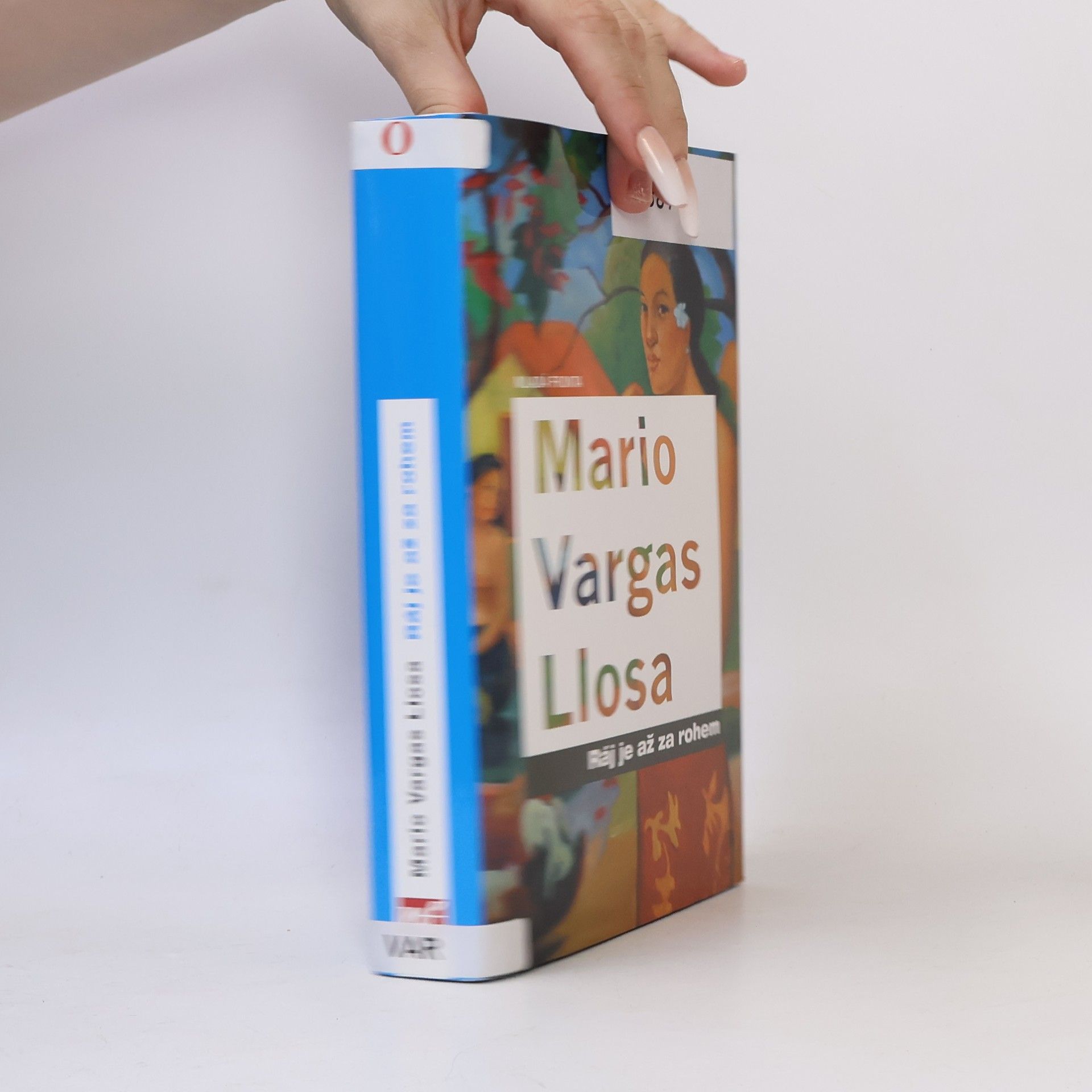 Mario Vargas Llosa Ráj je až za rohem