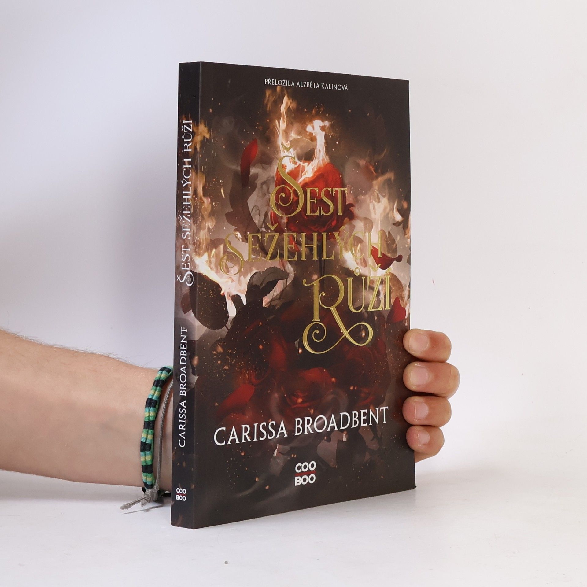 Carissa Broadbent Šest sežehlých růží