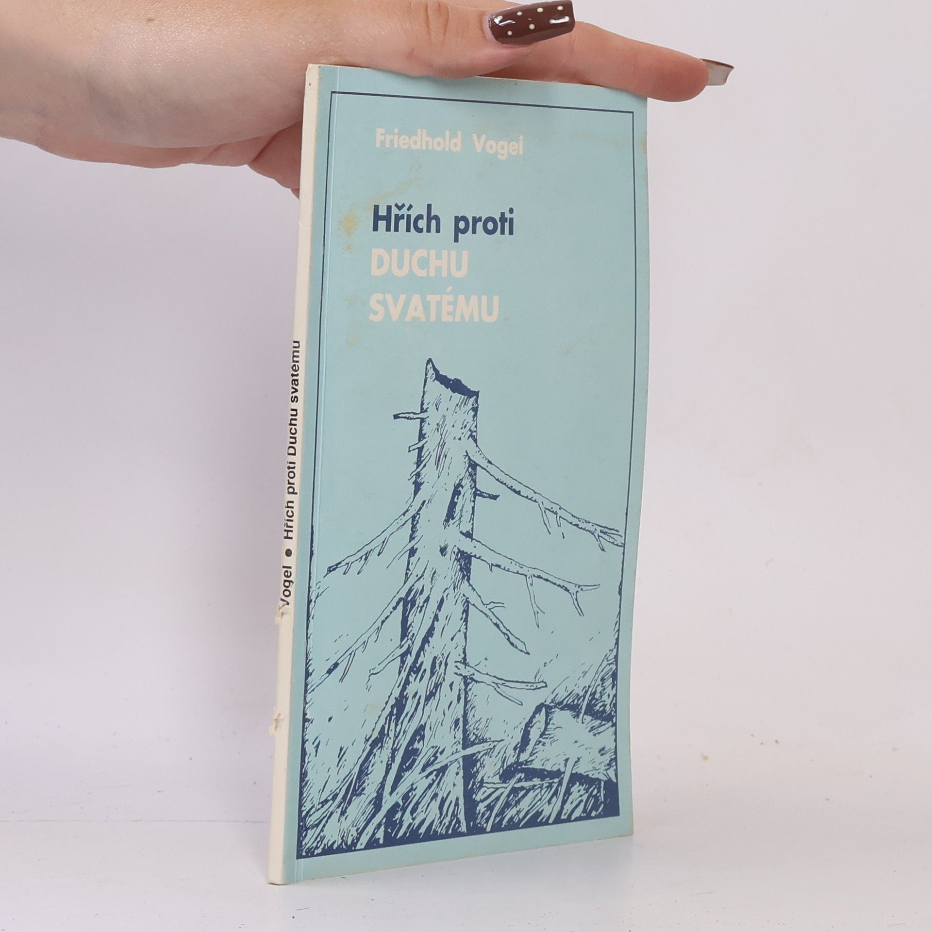 Friedhold Vogel Hřích proti Duchu svatému
