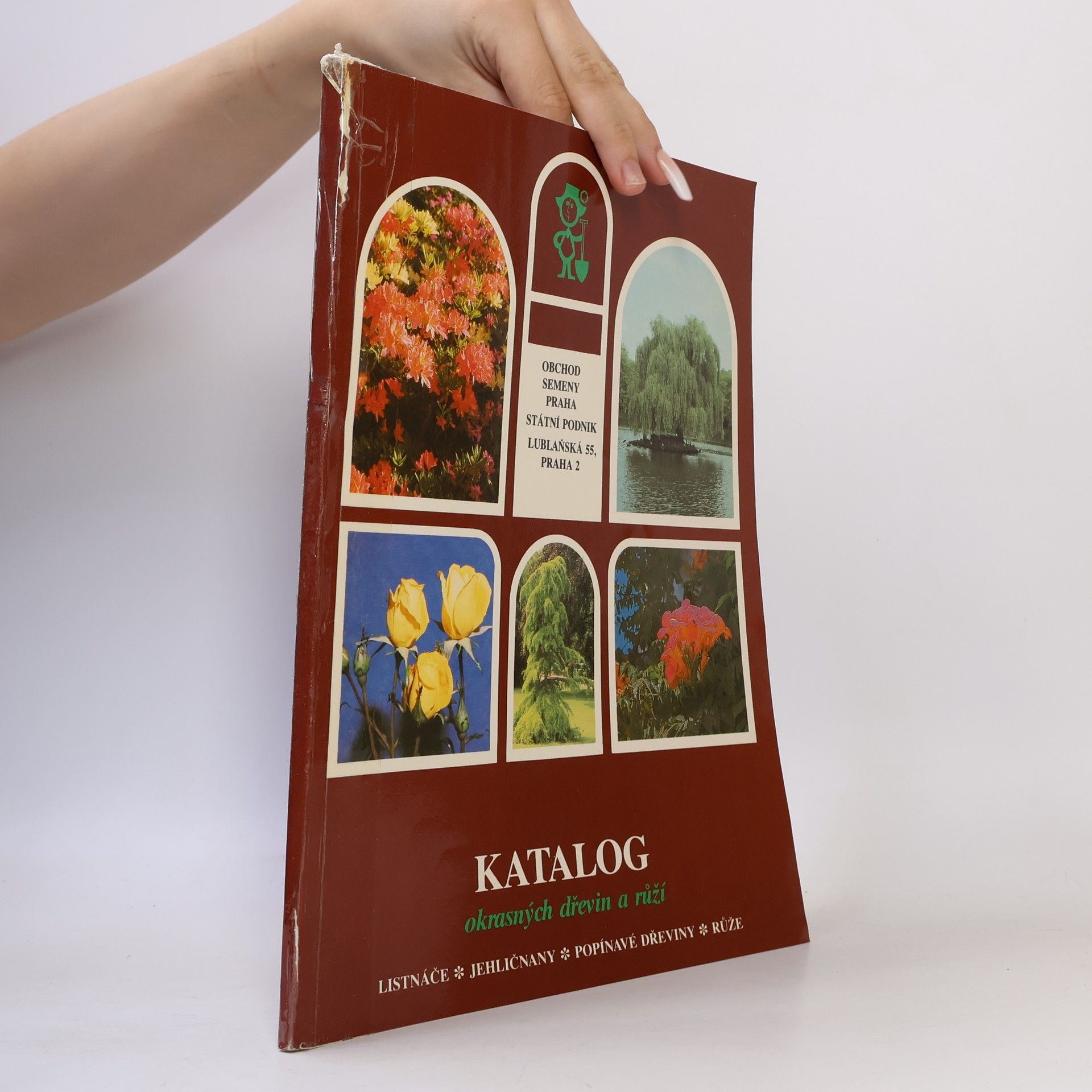 Autorenkollektiv Katalog okrasných dřevin a růží : listnáče, jehličnany, popínavé dřeviny, růže