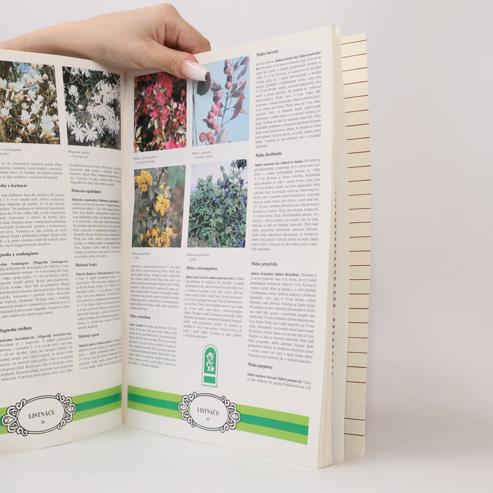 Autorenkollektiv Katalog okrasných dřevin a růží : listnáče, jehličnany, popínavé dřeviny, růže