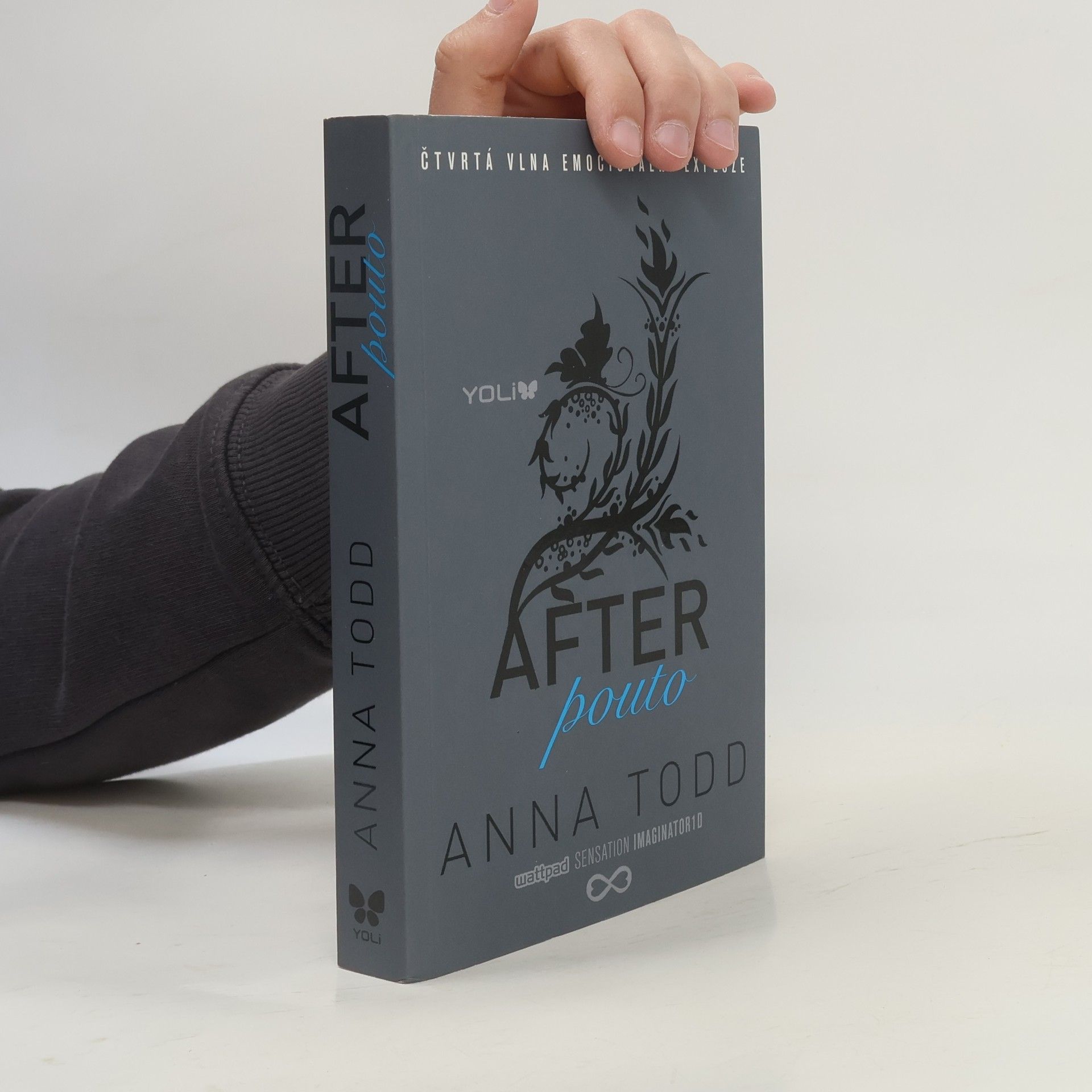 Anna Todd After. Pouto