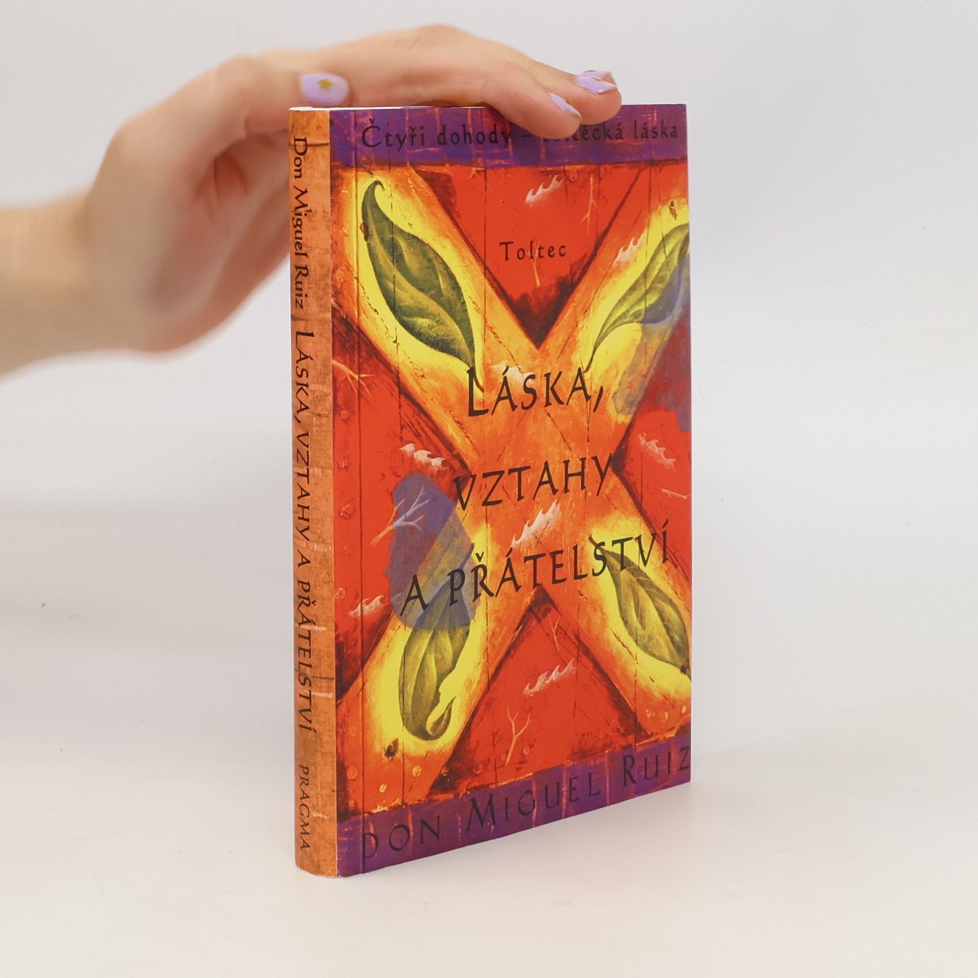 Don Miguel Ruiz Láska, vztahy a přátelství