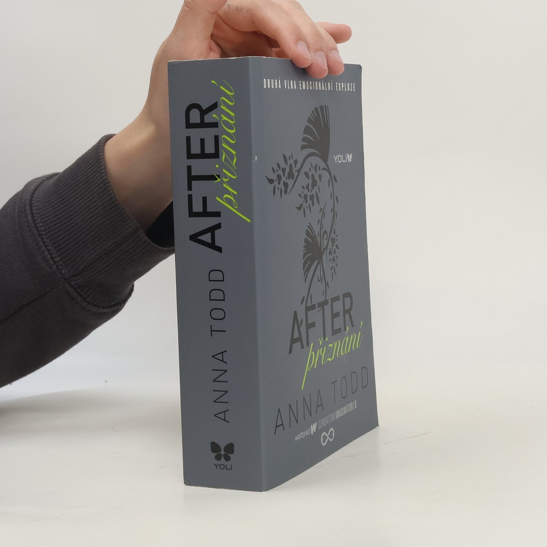 Anna Todd After. Přiznání