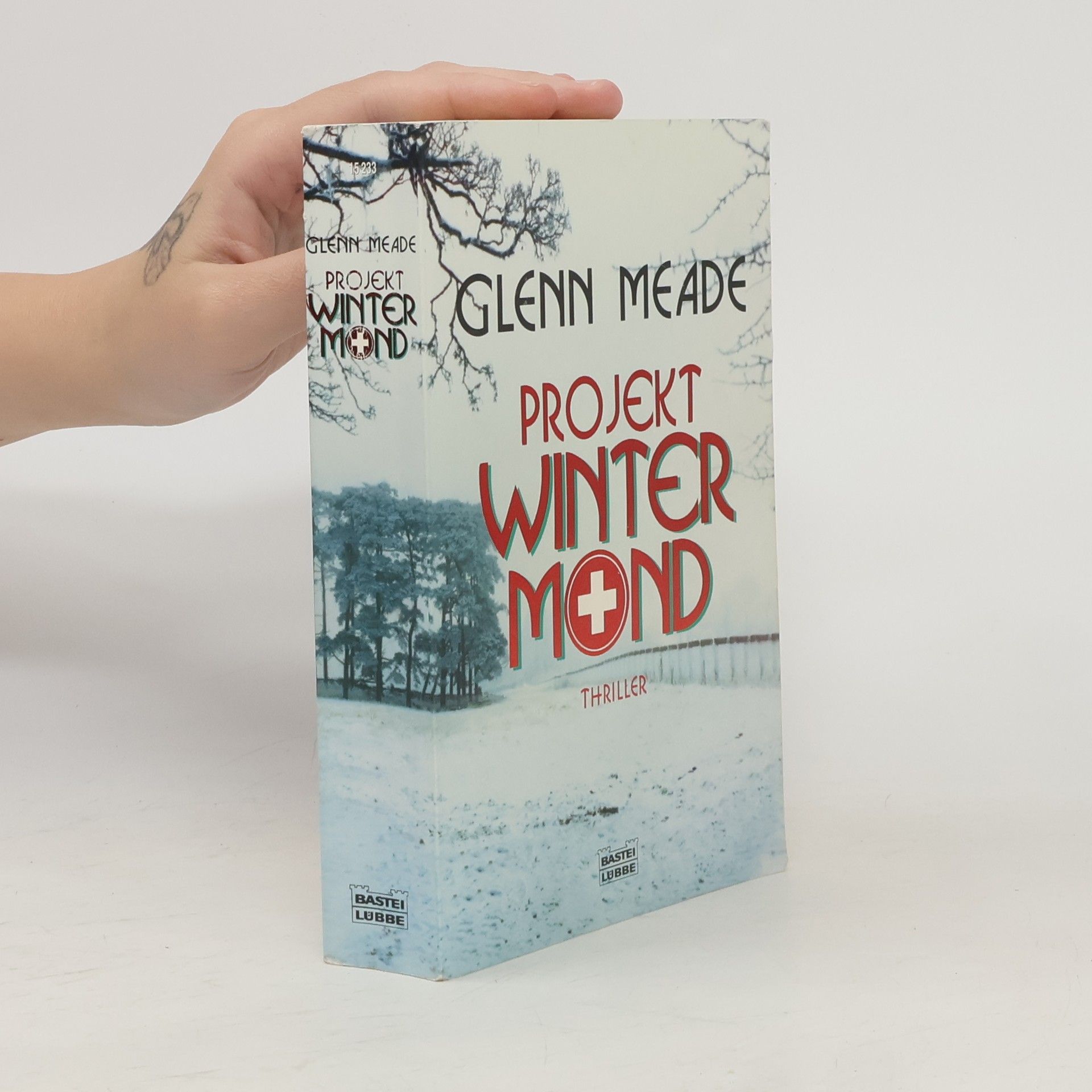 Glenn Meade Projekt winter mind