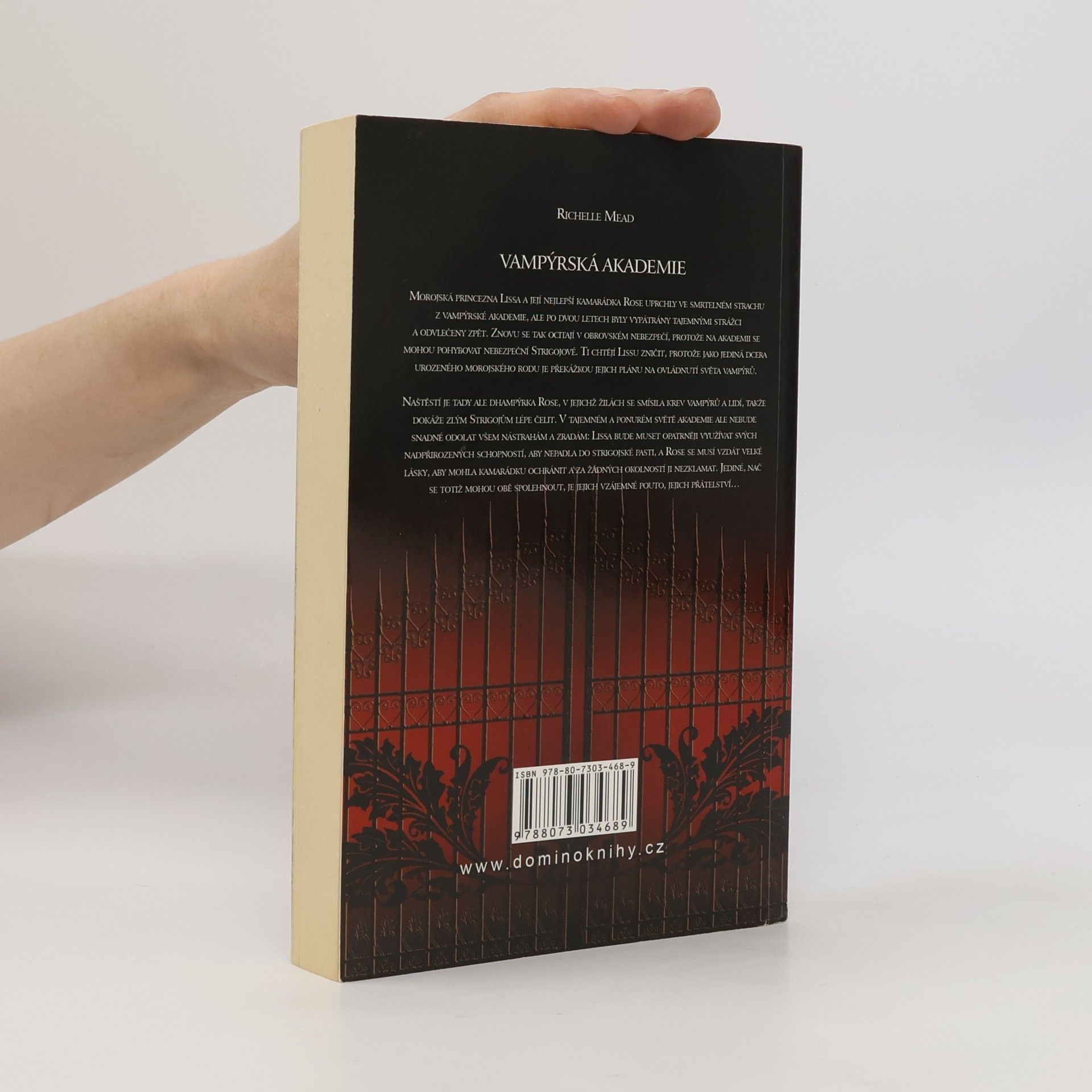 Richelle Mead Vampýrská akademie