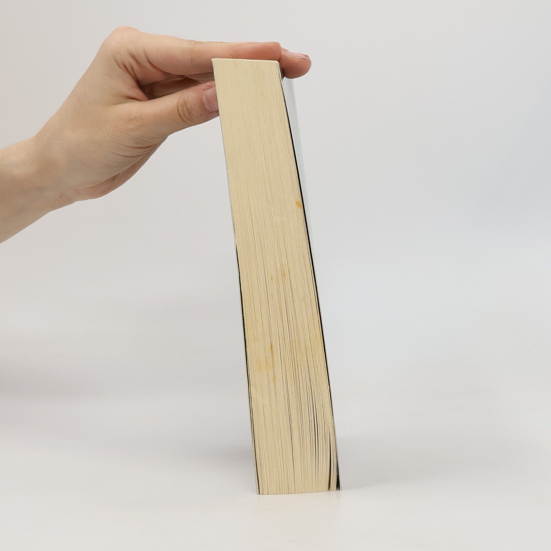 Richelle Mead Vampýrská akademie 4: Krvavý slib