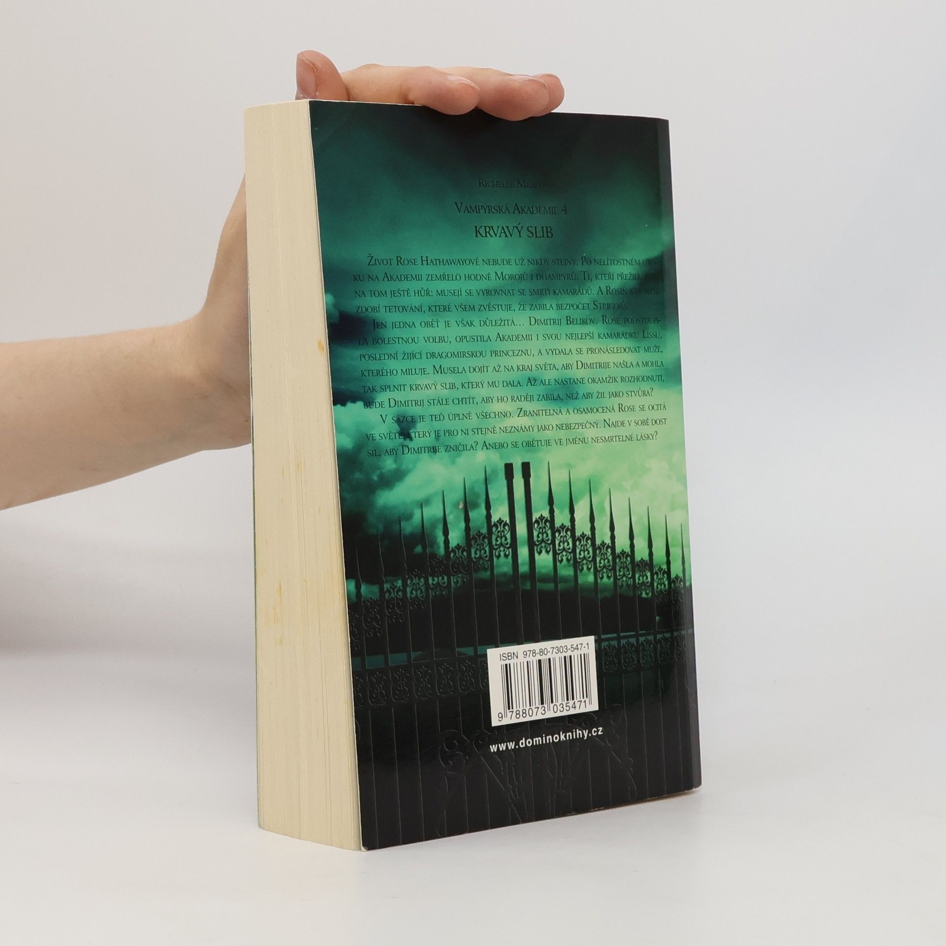 Richelle Mead Vampýrská akademie 4: Krvavý slib