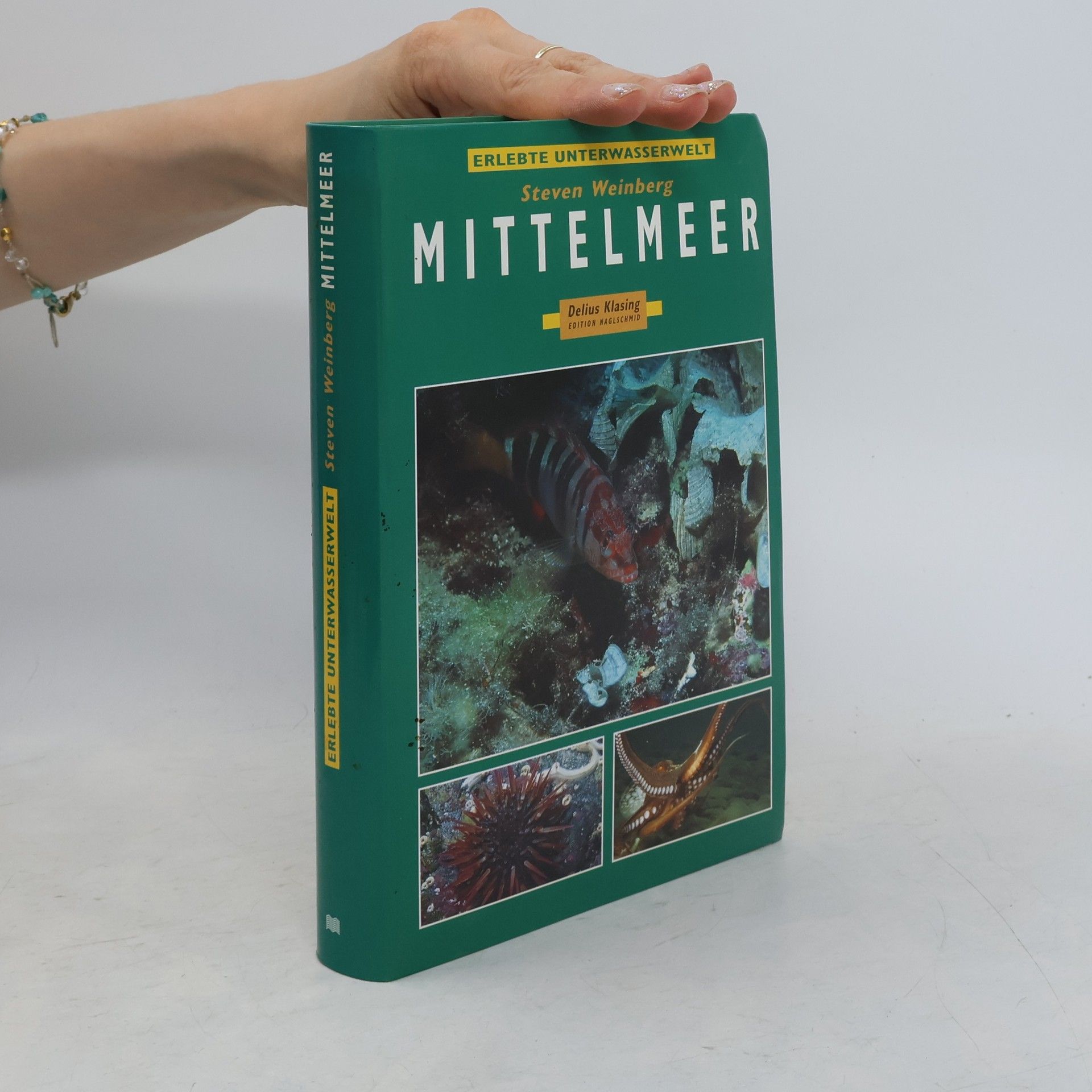 Steven Weinberg Mittelmeer