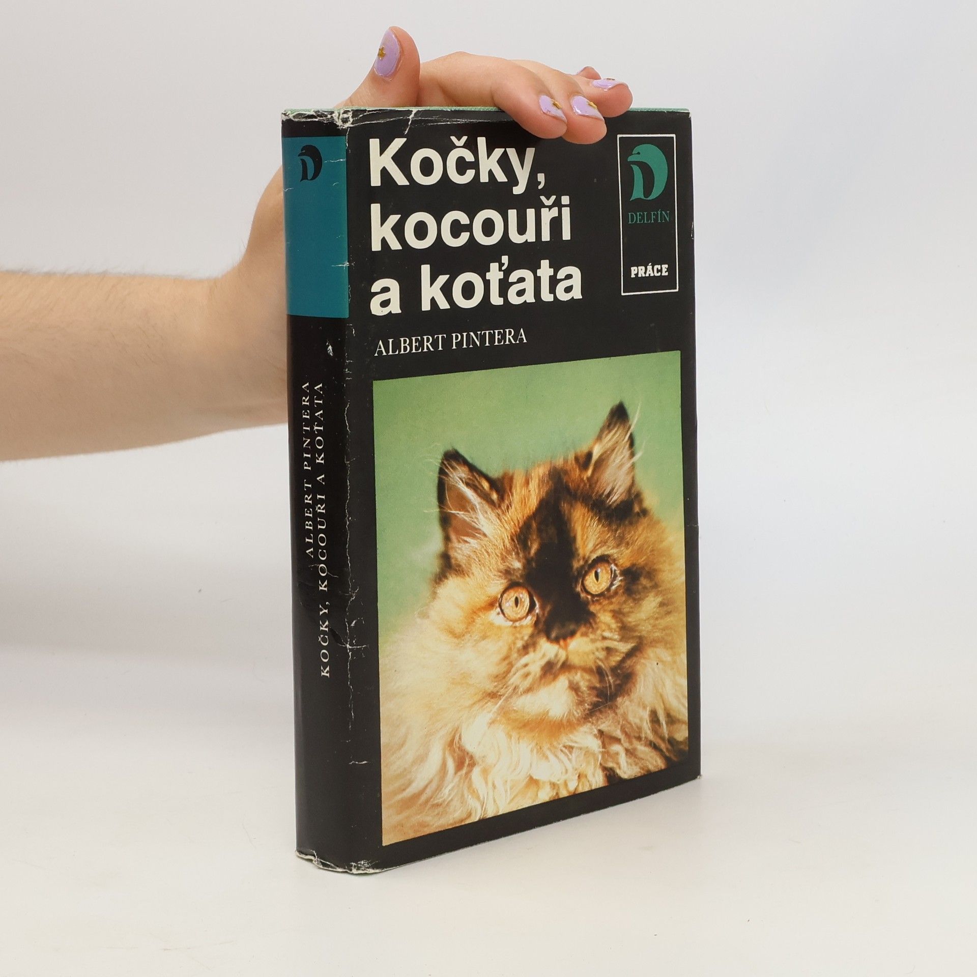 Albert Pintera Kočky, kocouři a koťata