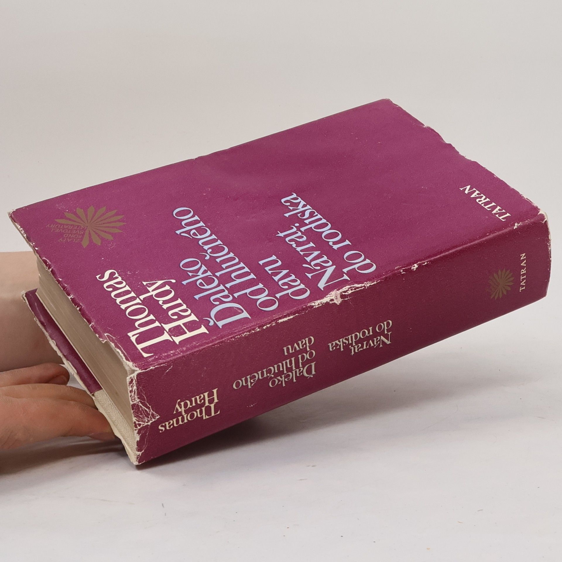 Thomas Hardy Ďaleko od hlučného davu. Návrat do rodiska