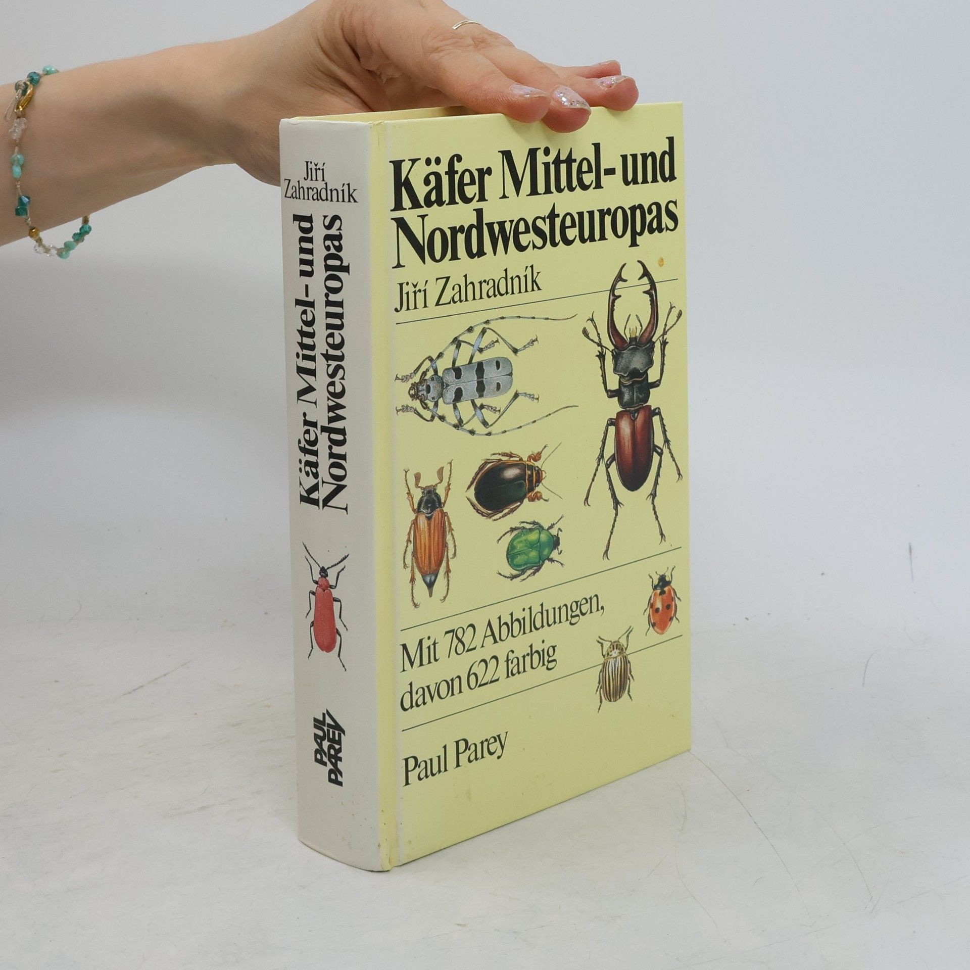 Käfer Mittel- und Nordwesteuropas