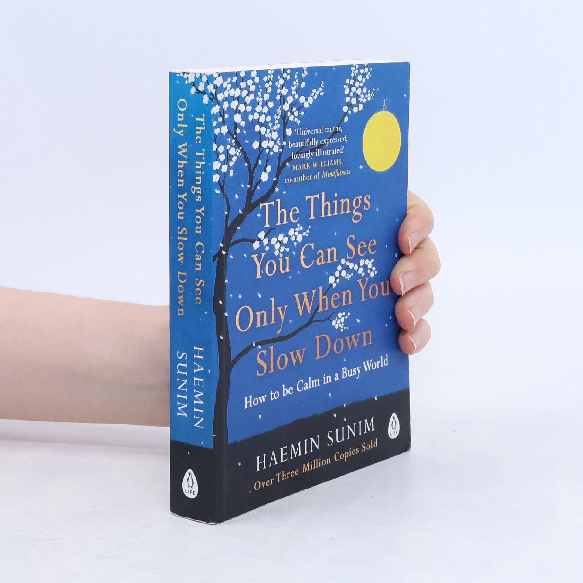 Sunim Haemin The Things You Can See Only When You Slow Down