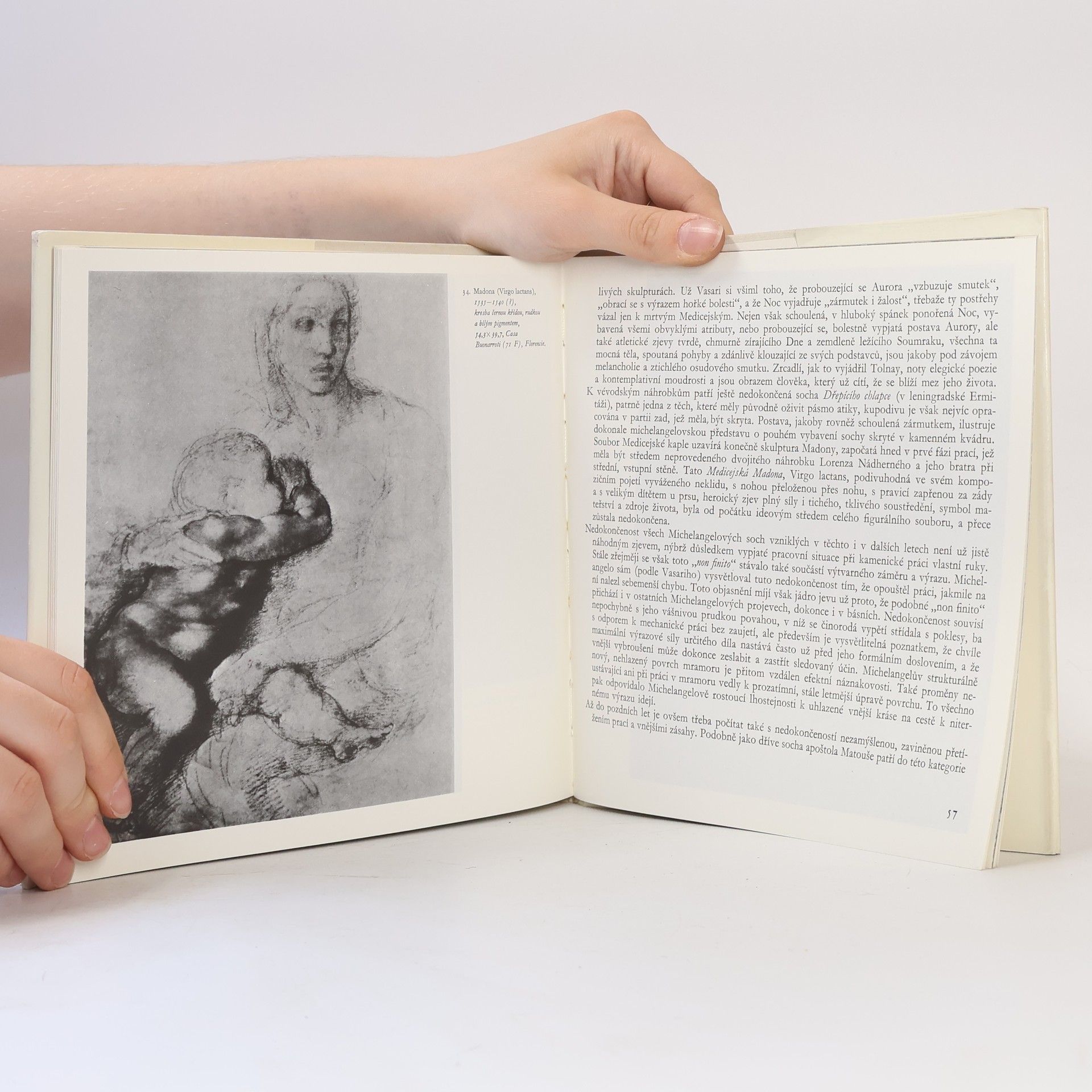 Oldřich J. Blažíček Michelangelo