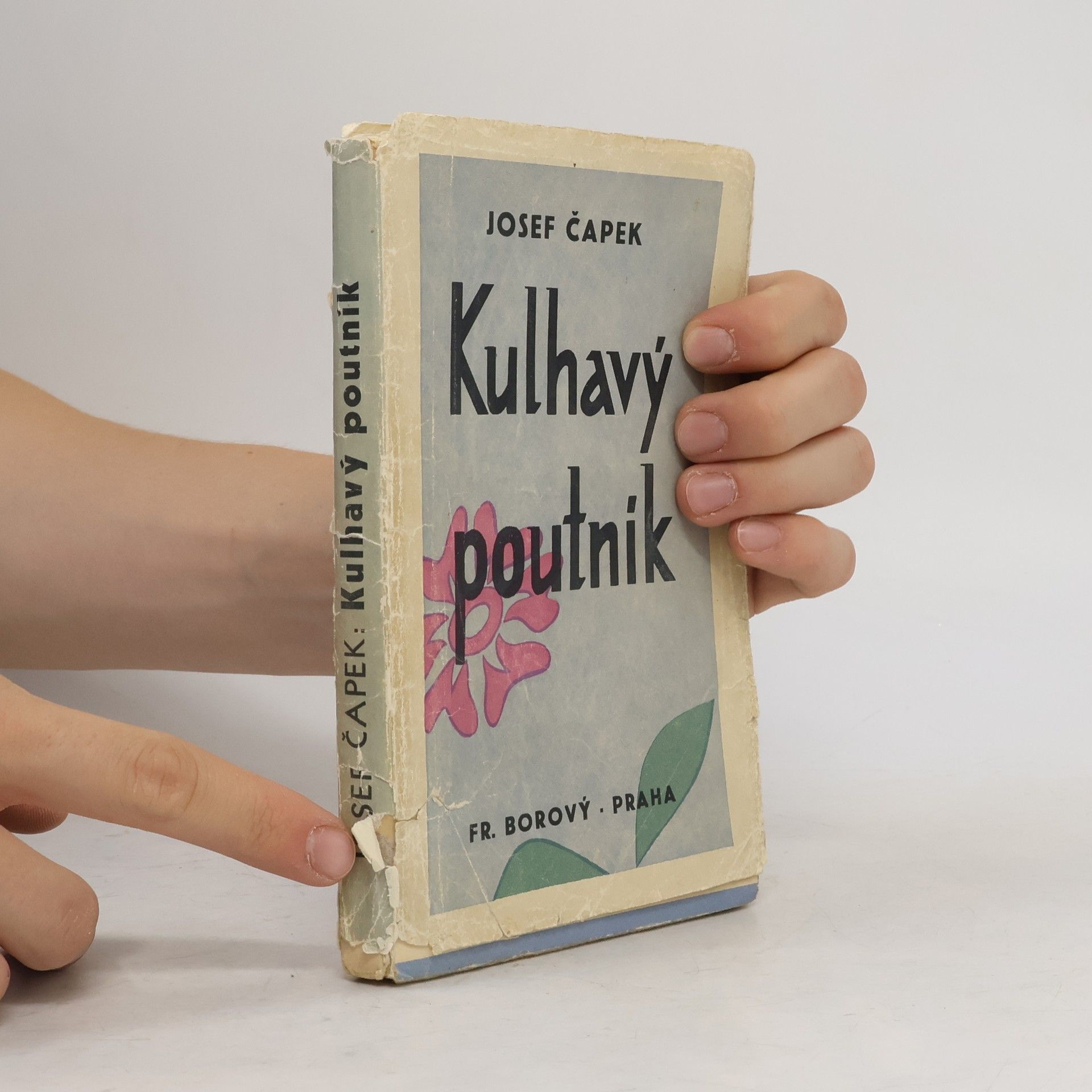 Josef Čapek Kulhavý poutník