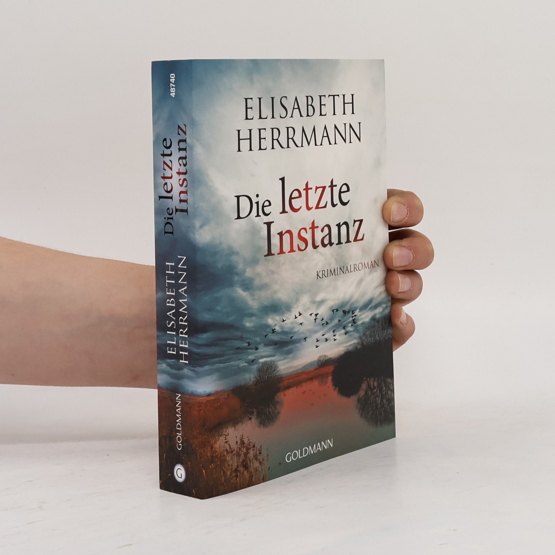 Elisabeth Hermann Die letzte Instanz