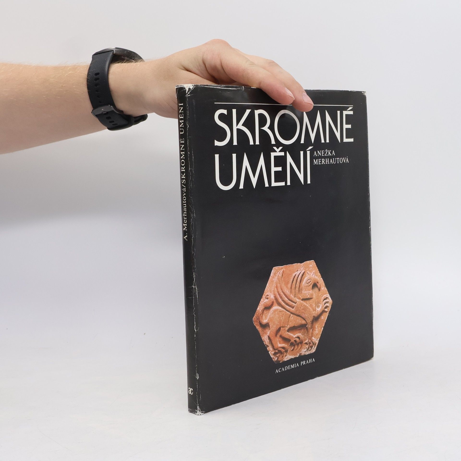Anežka Merhautová Skromné umění. Ostrovská zdobená terakota