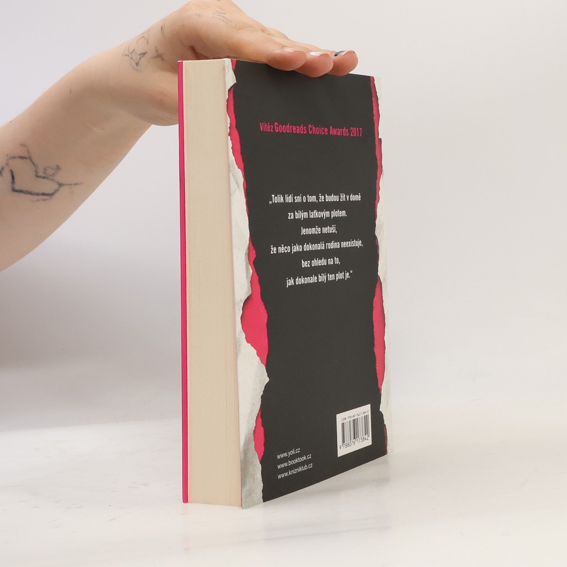 Colleen Hoover Na obtíž
