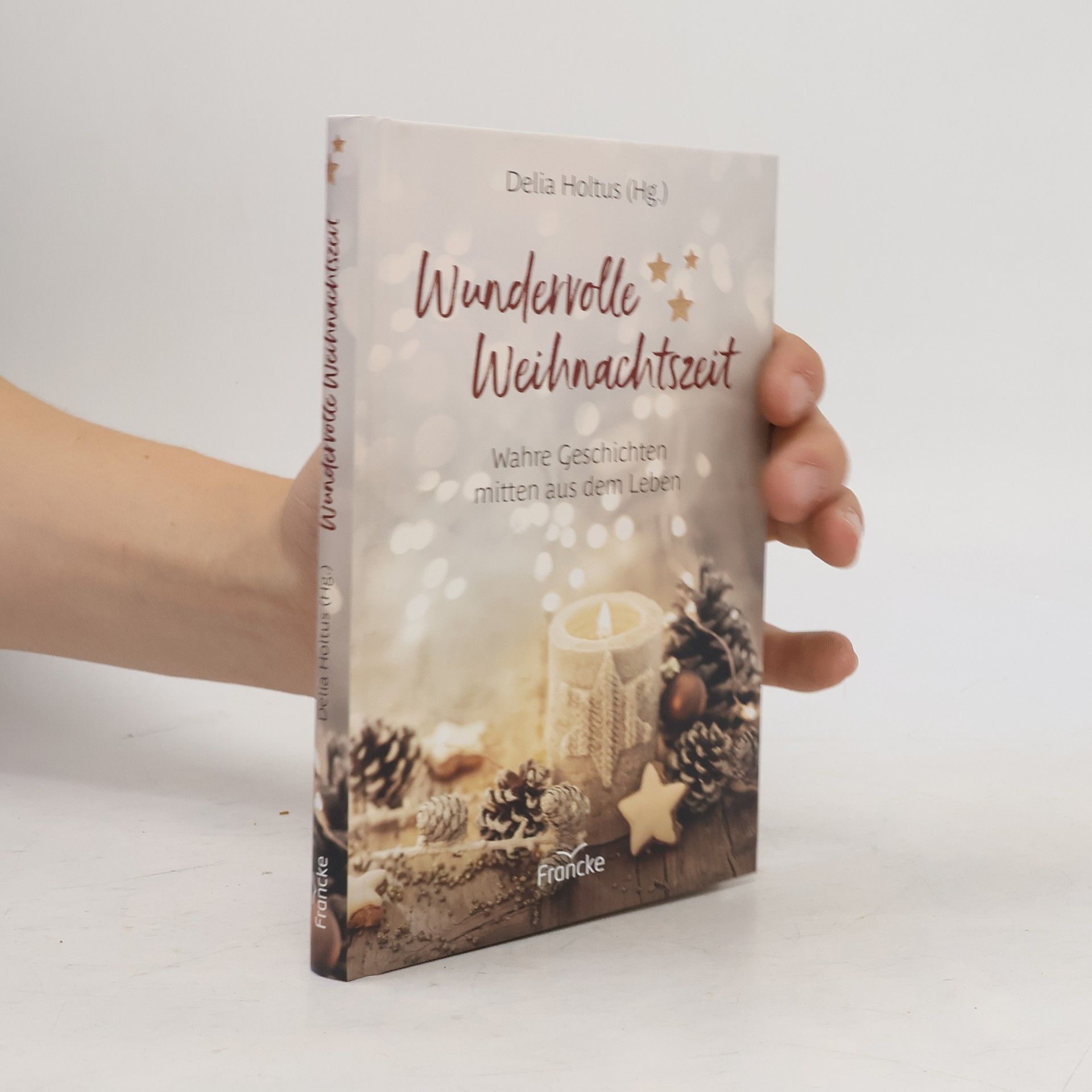 Delia Holtus Wundervolle Weihnachtszeit