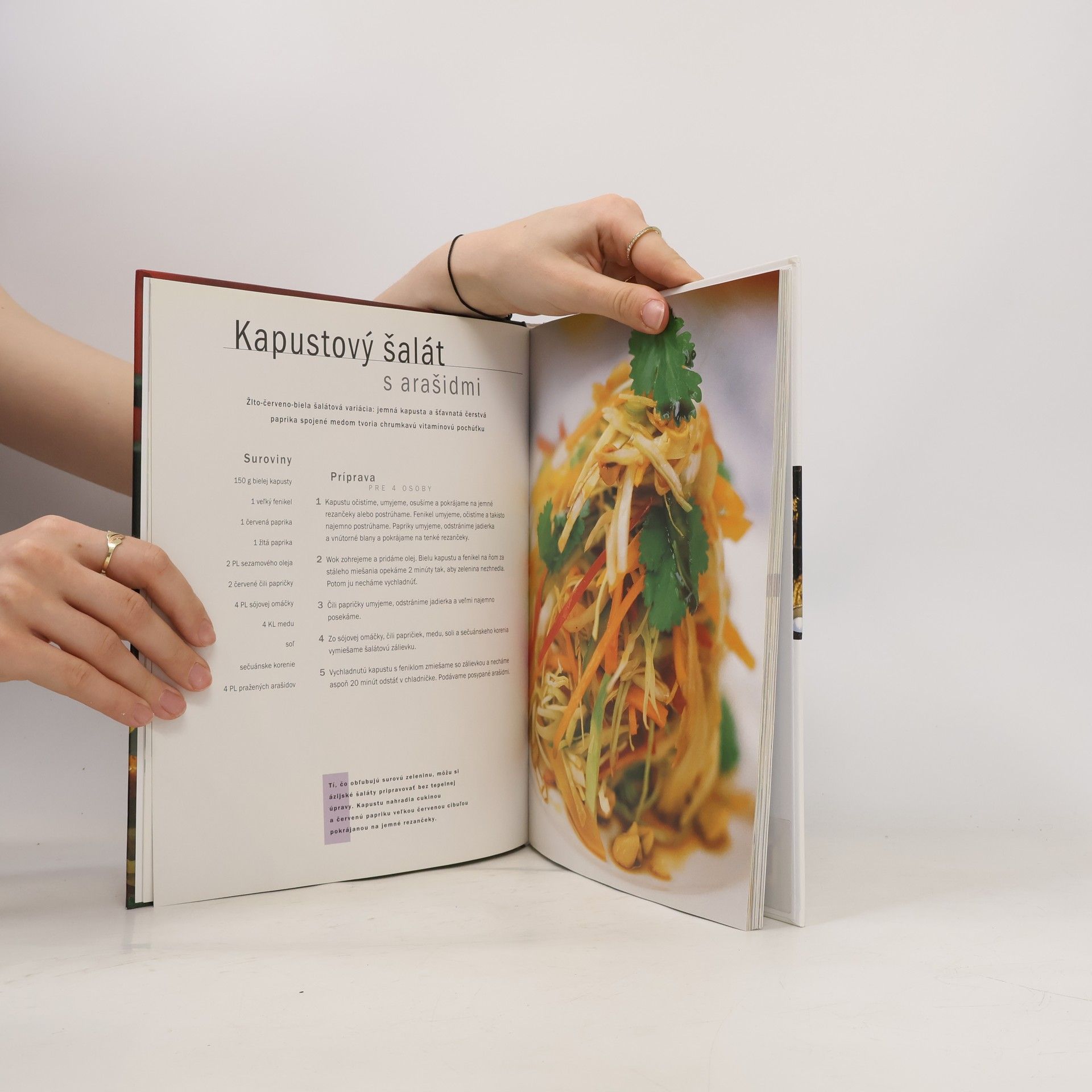 Kolektiv autorů Wok