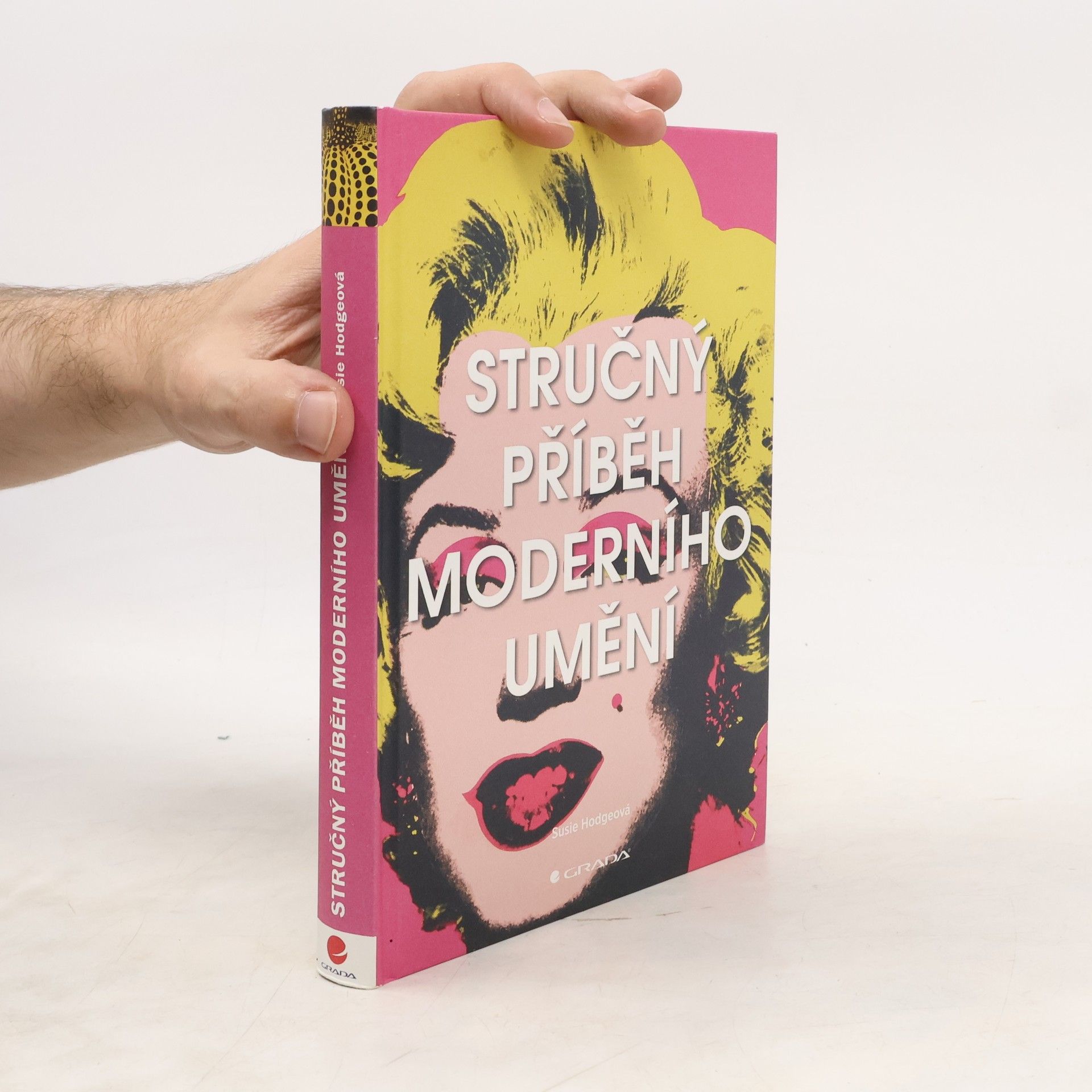 Susie Hodge Stručný příběh moderního umění