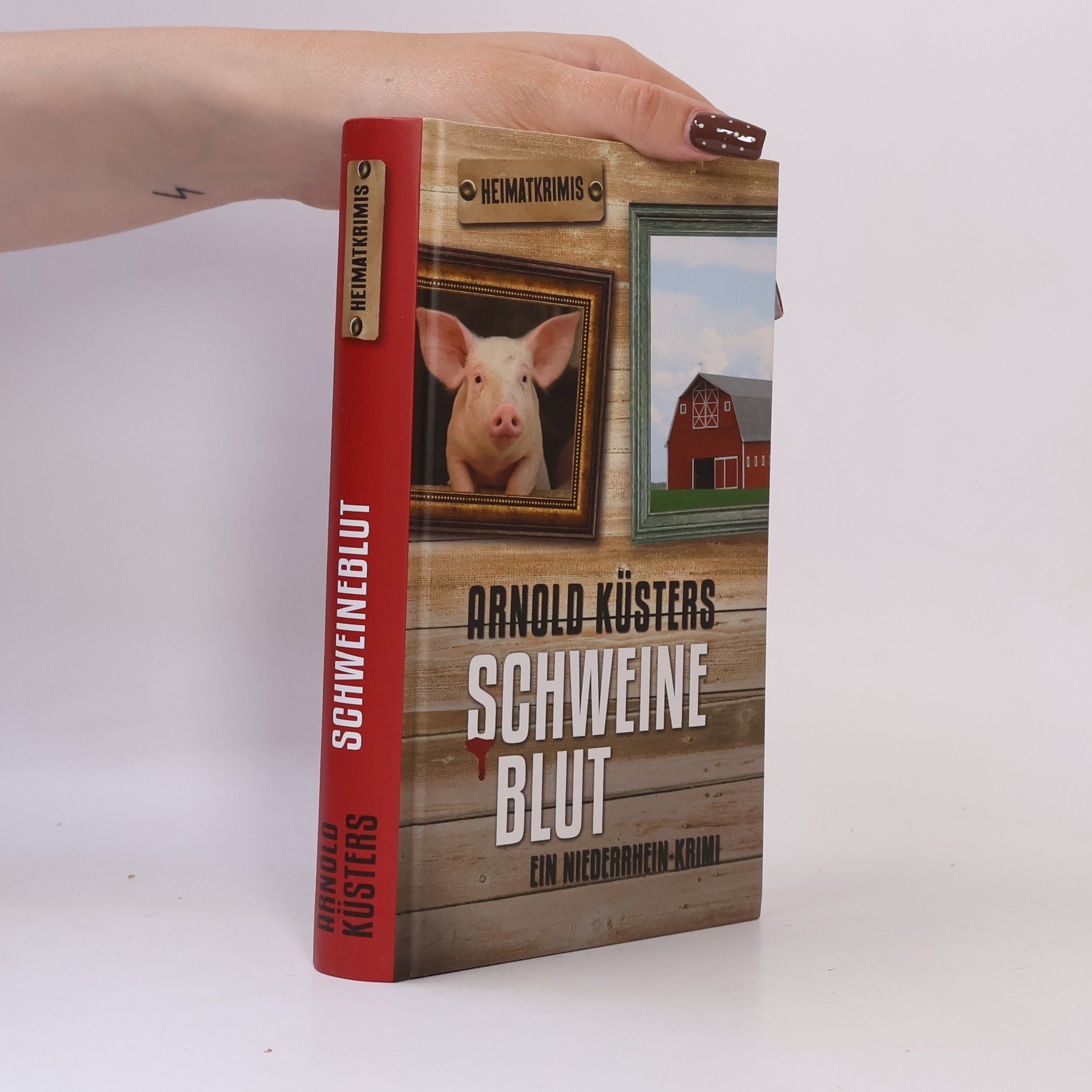 Arnold Küsters Schweineblut. Ein Niederrhein-Krimi