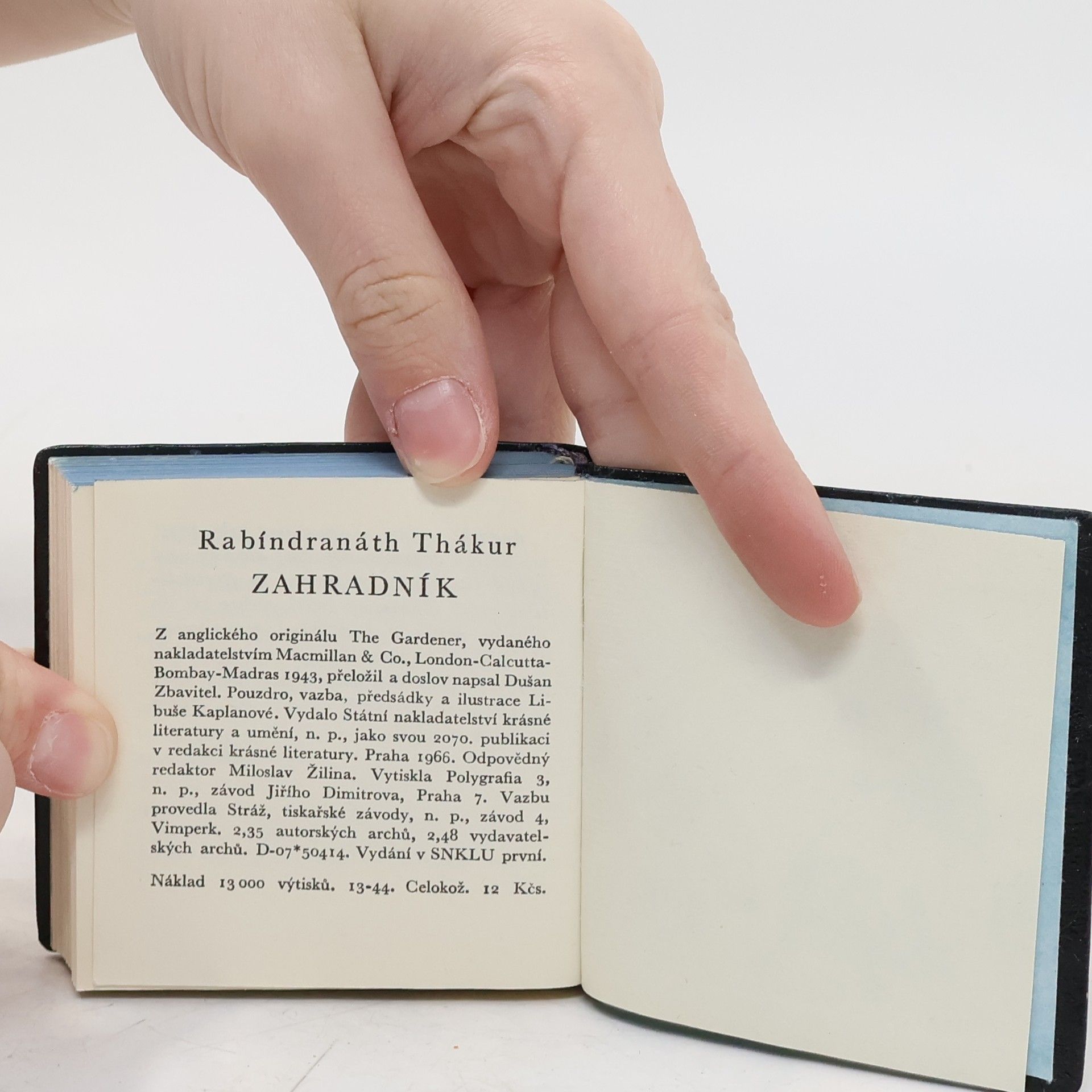 Rabindranath Tagore Zahradník