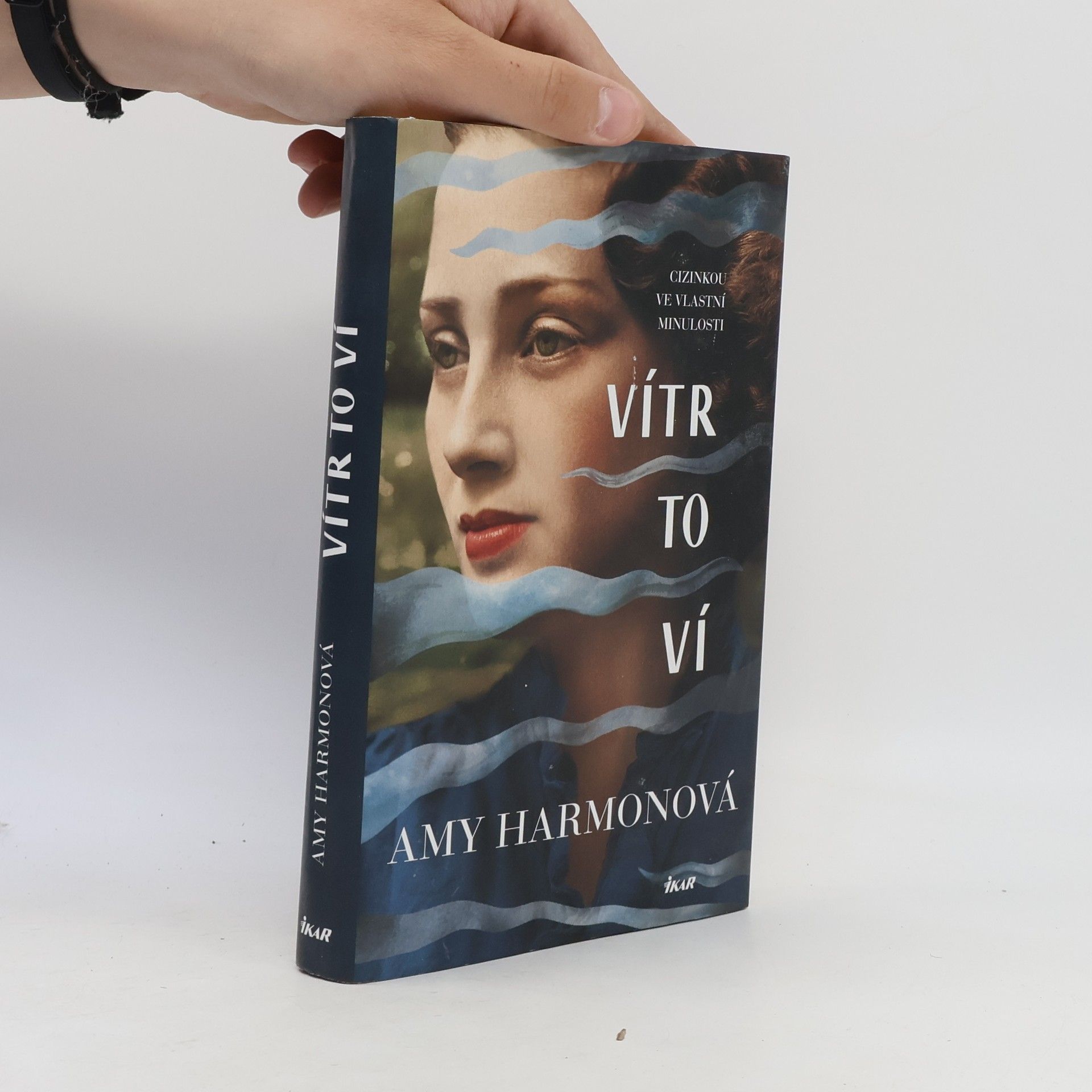 Amy Harmon Vítr to ví