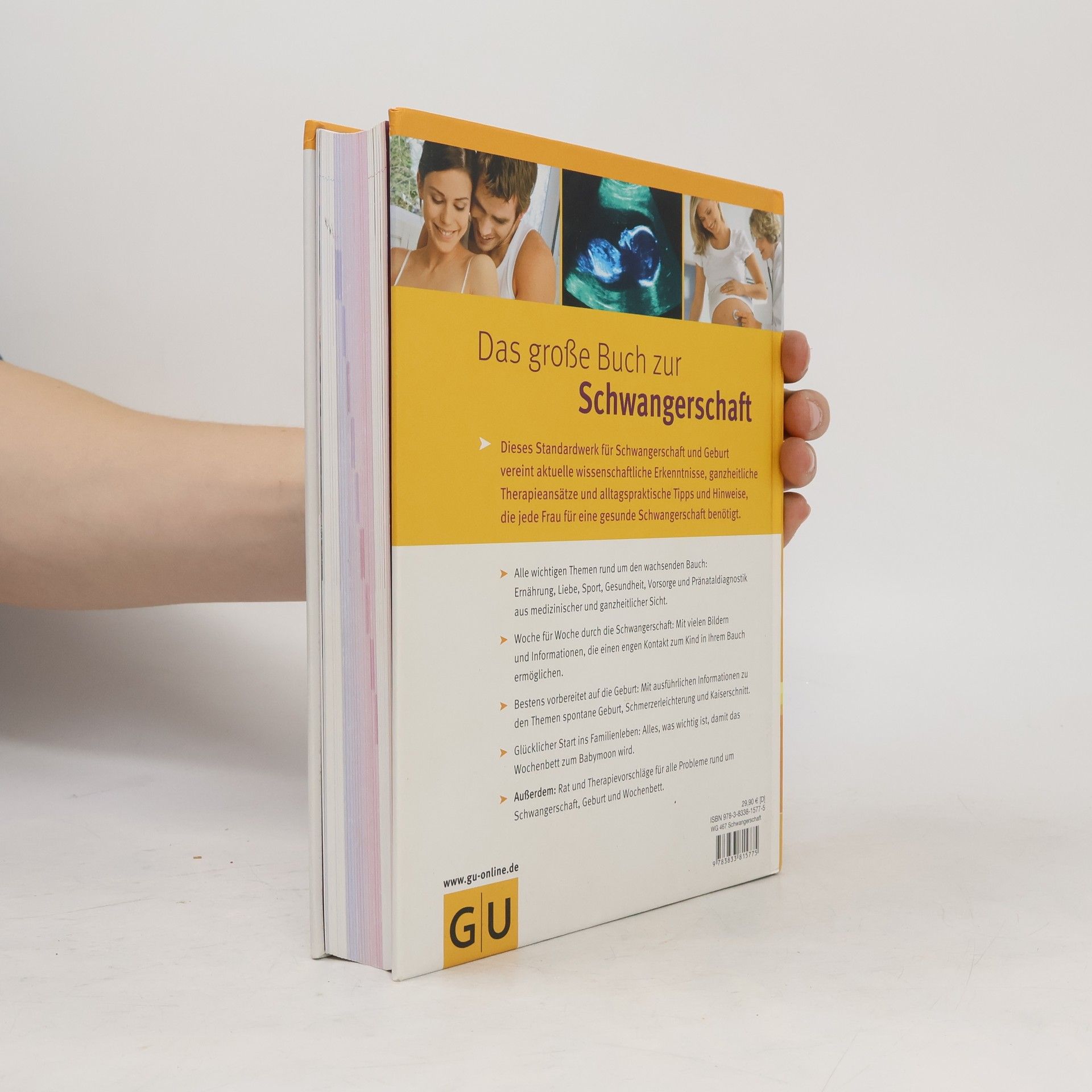 Annette Nolden Das große Buch zur Schwangerschaft