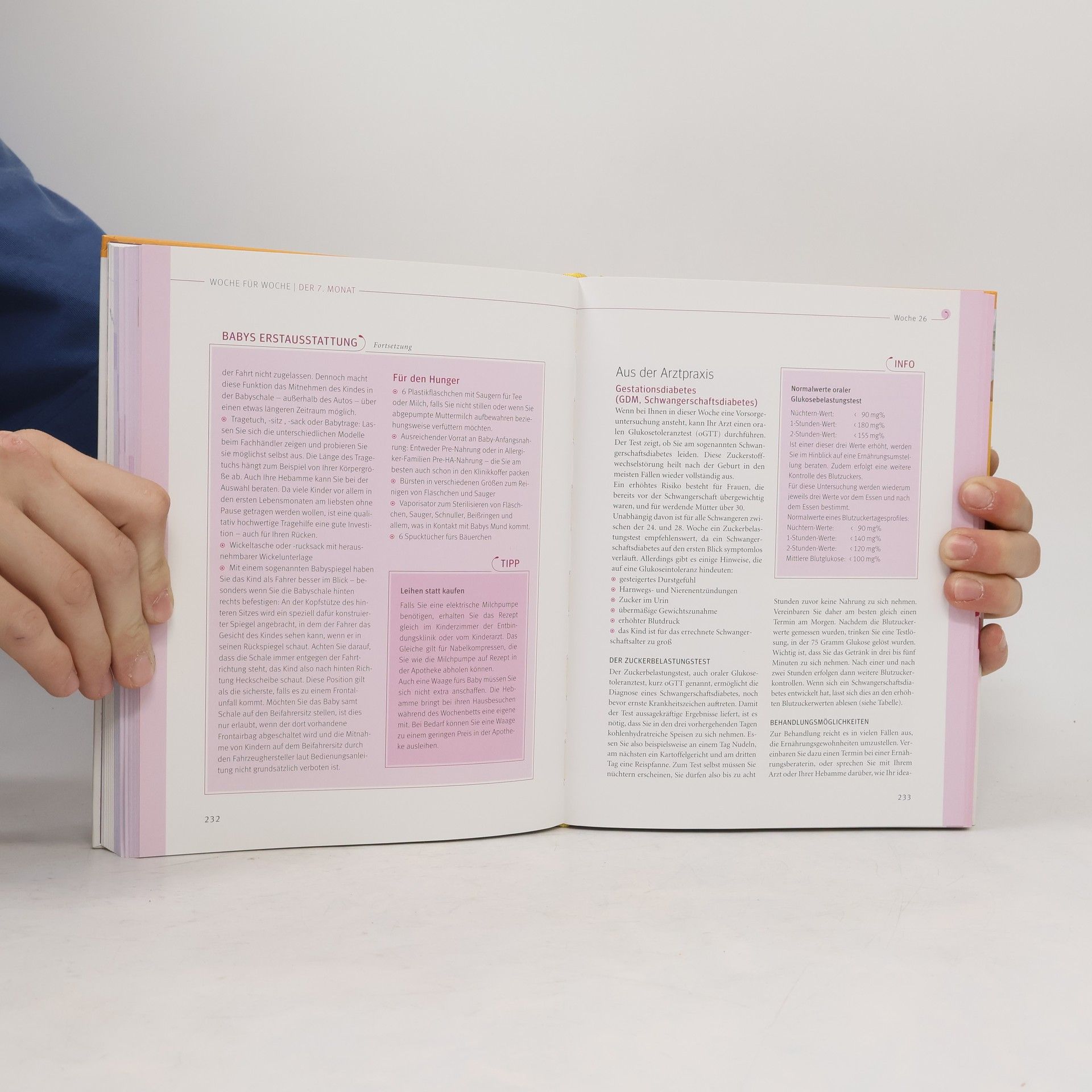 Annette Nolden Das große Buch zur Schwangerschaft