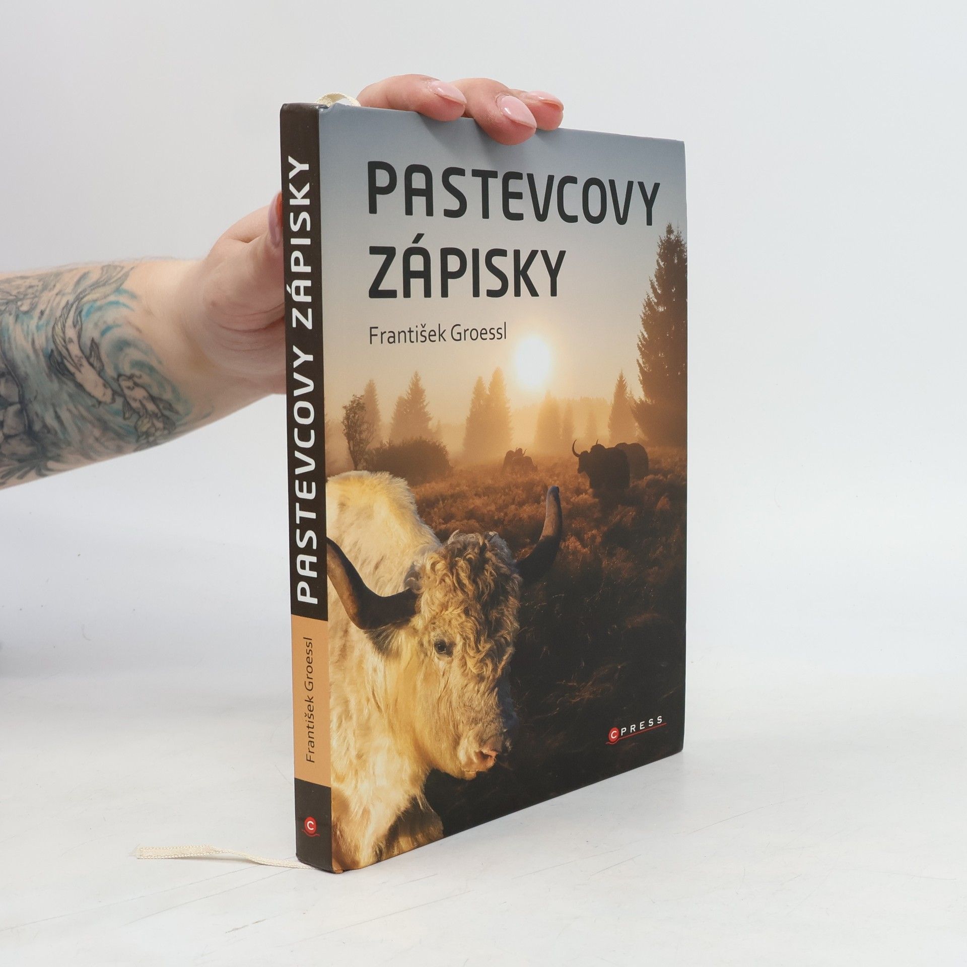 František Groessl Pastevcovy zápisky
