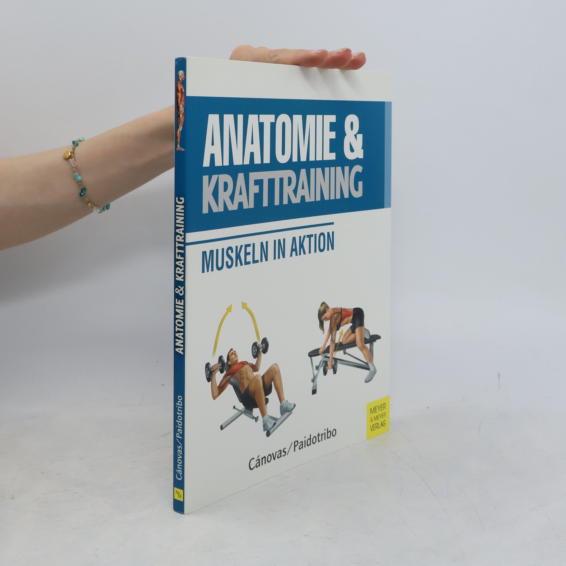 Ricardo Cánovas Anatomie und Krafttraining (Anatomie & Sport, Band 1)