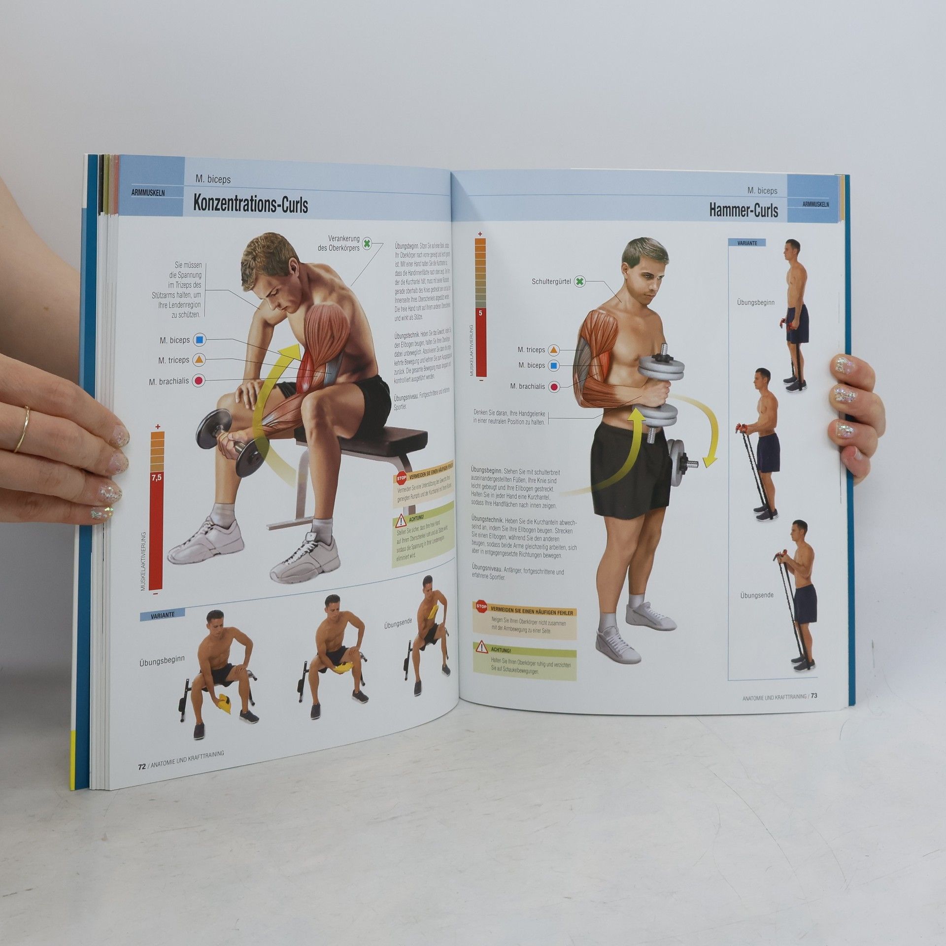 Ricardo Cánovas Anatomie und Krafttraining (Anatomie & Sport, Band 1)