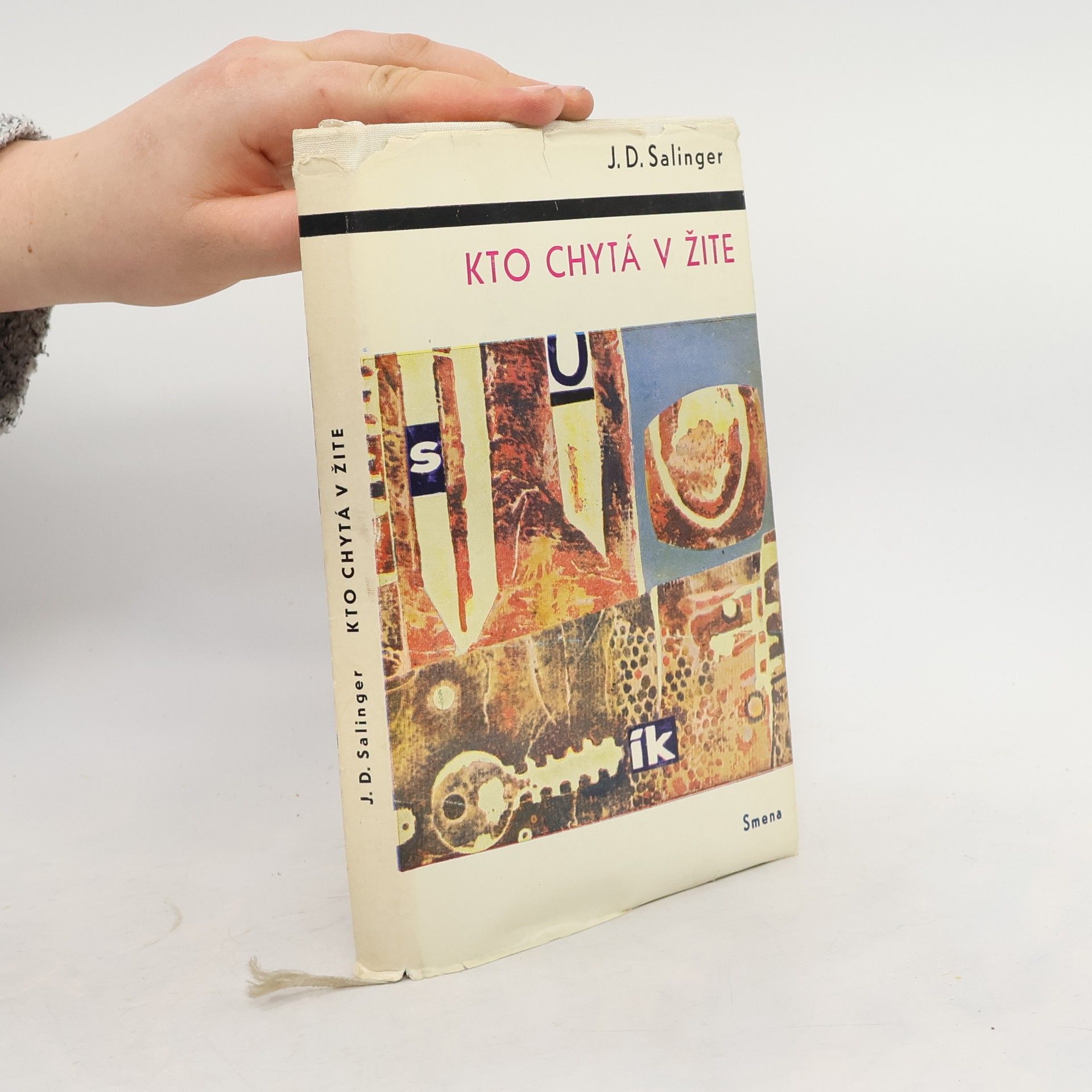 J. D. Salinger Kto chytá v žite