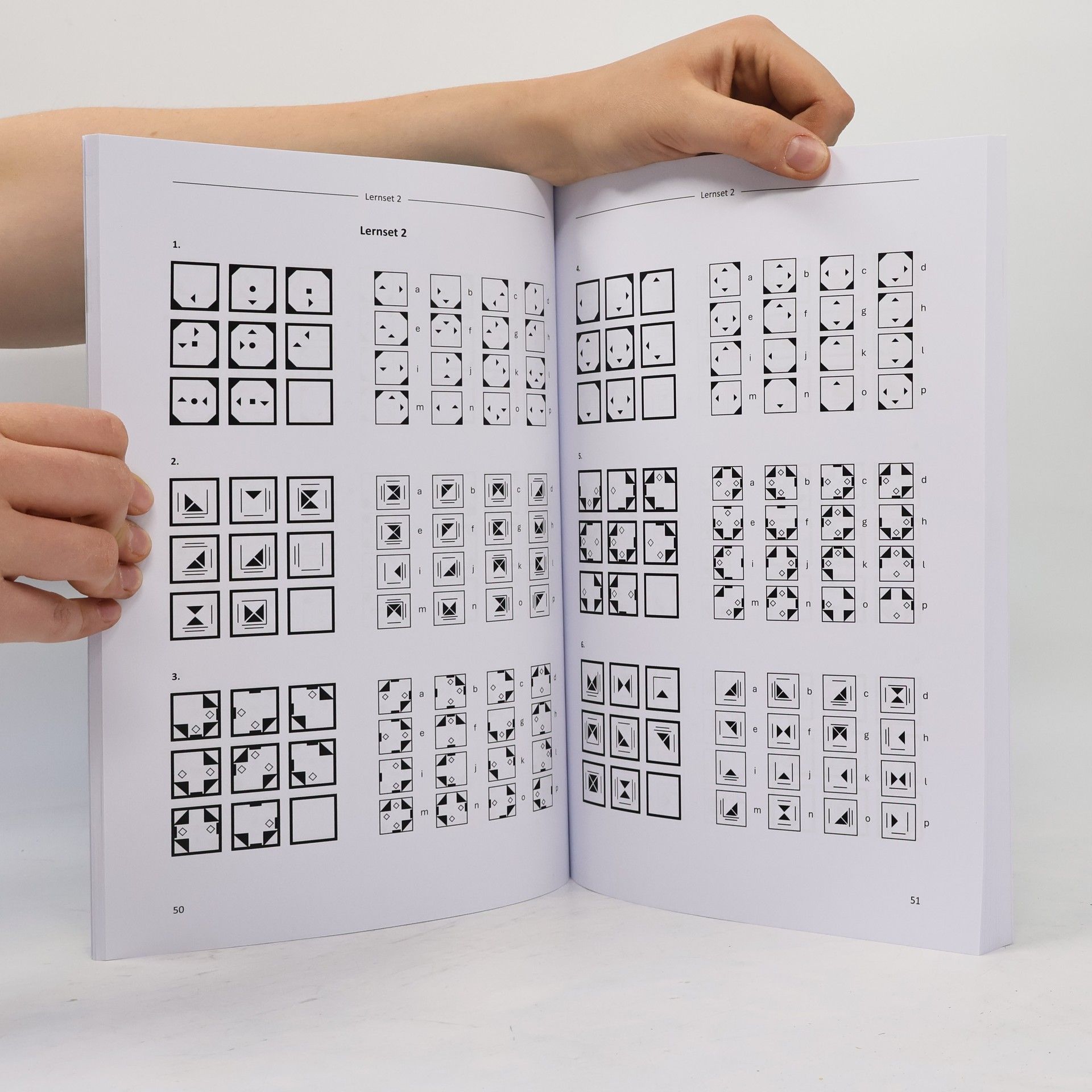 PsyCheck BaPsy-DGPs - 2026: Schlussfolgerndes Denken figural Übungbuch