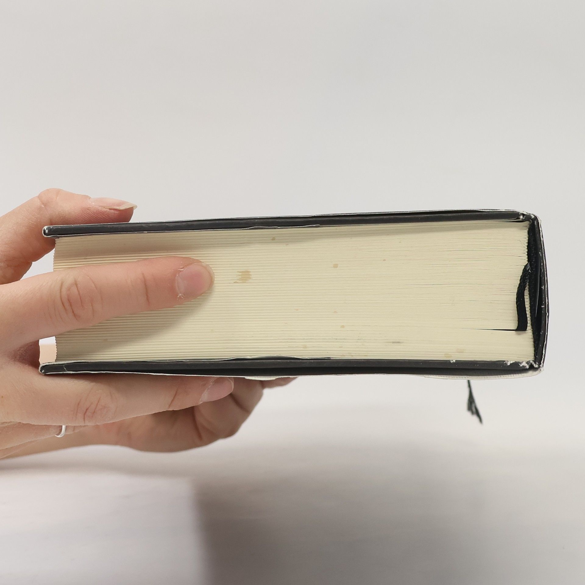 Robert Musil Muž bez vlastností