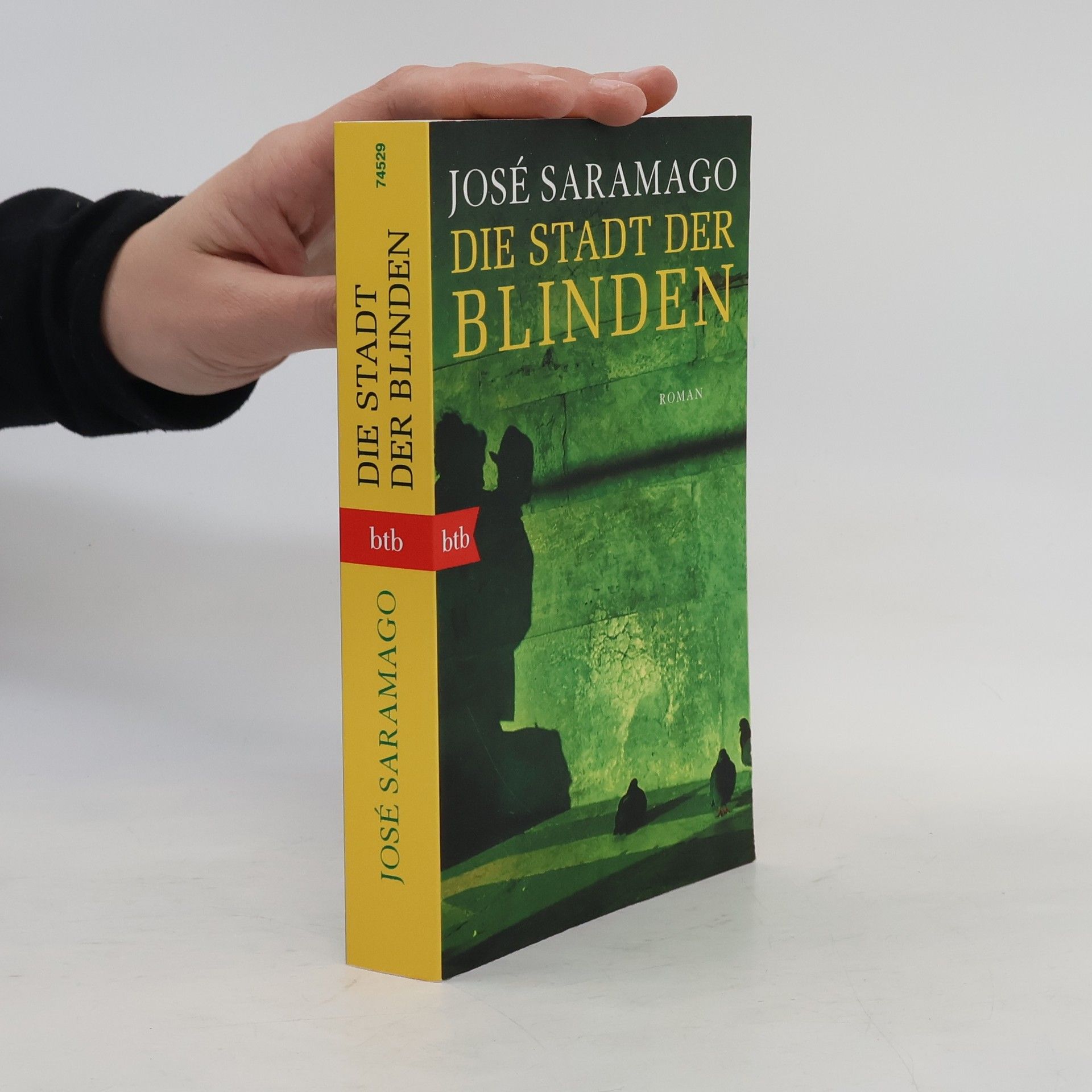 José Saramago Die Stadt der Blinde