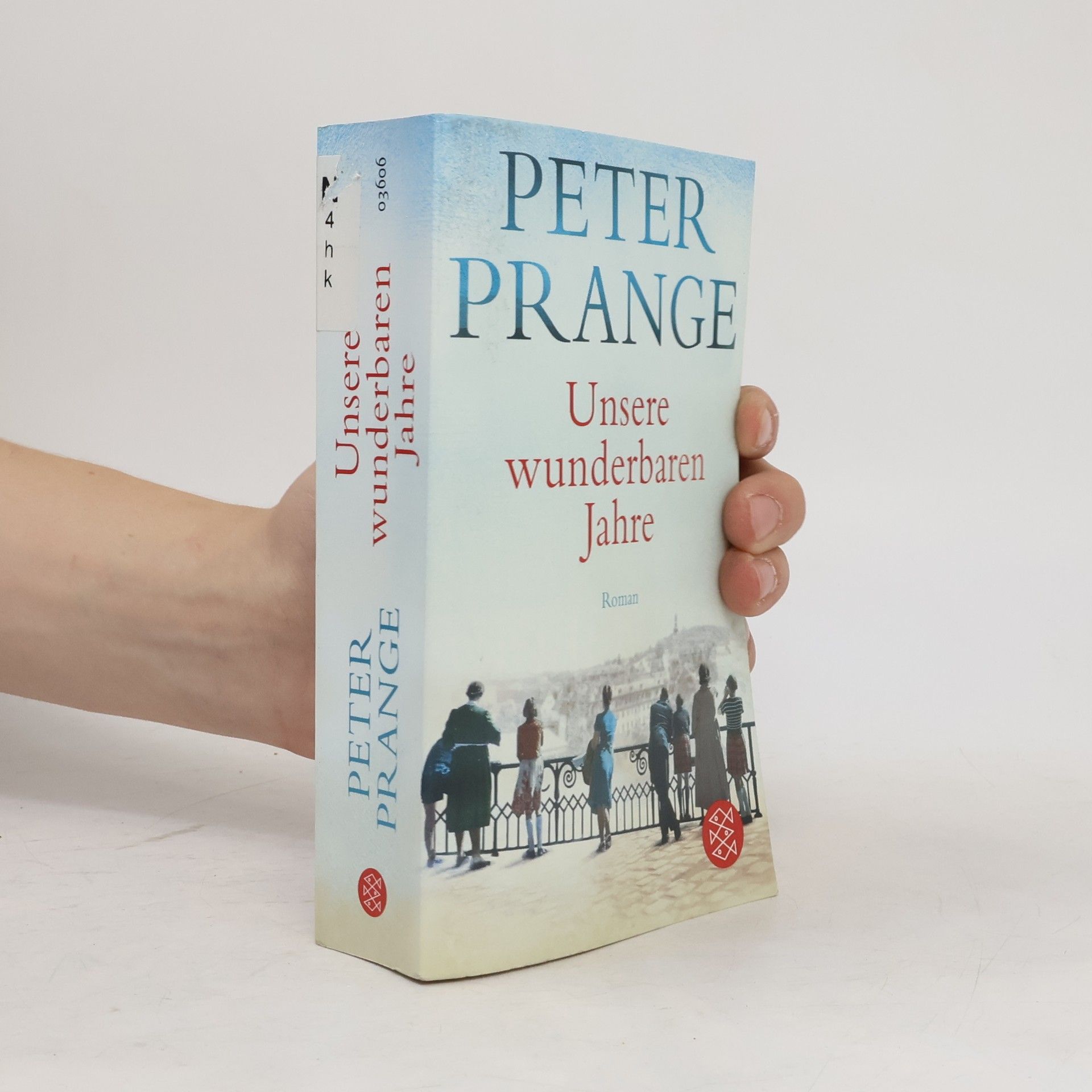 Peter Prange Unsere wunderbaren Jahre