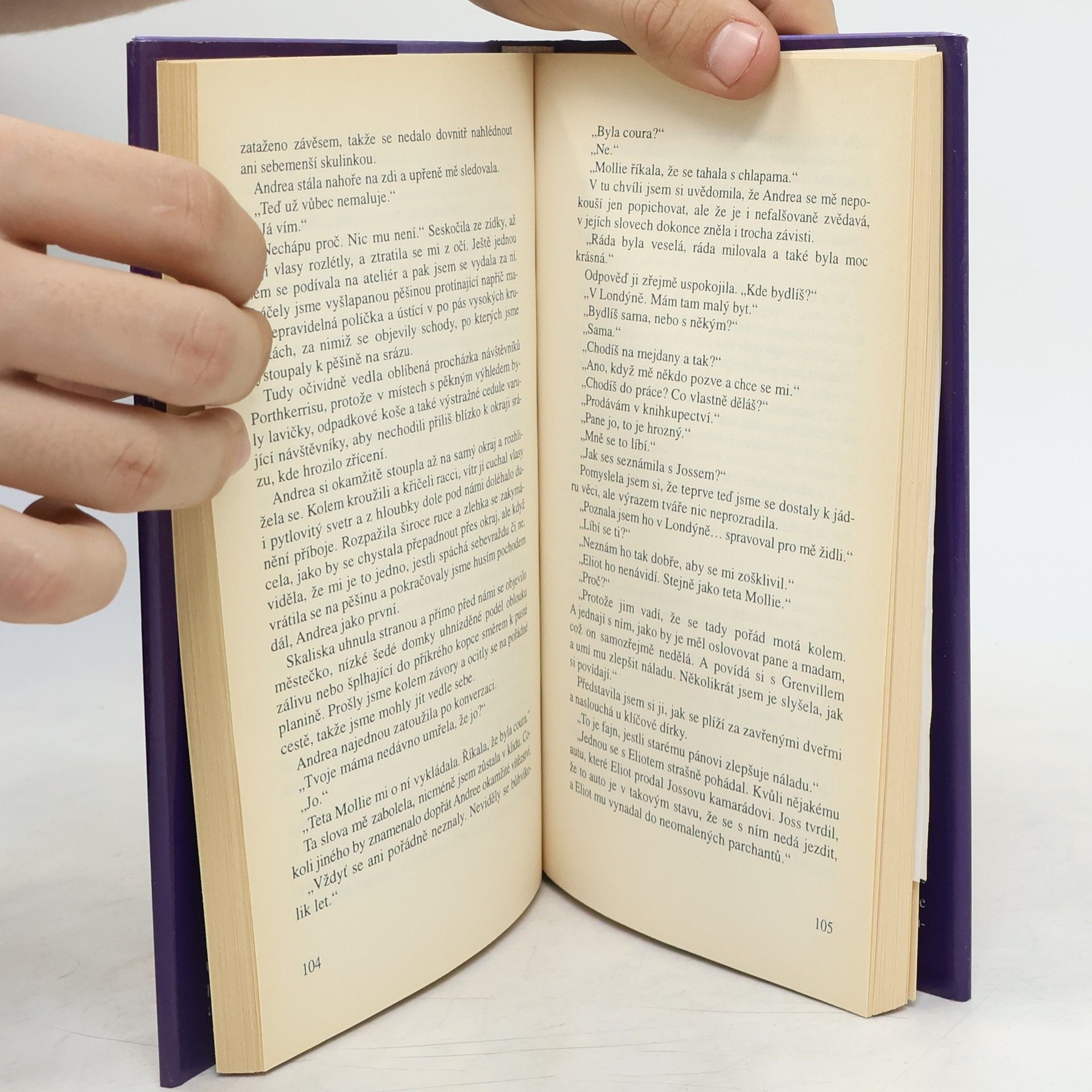 Rosamunde Pilcher Bouřlivé pobřeží