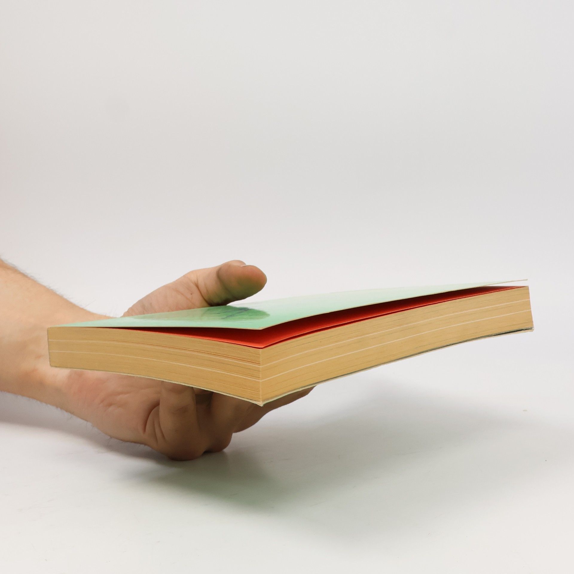 Graziano Guiotto Il manuale del giovane esploratore