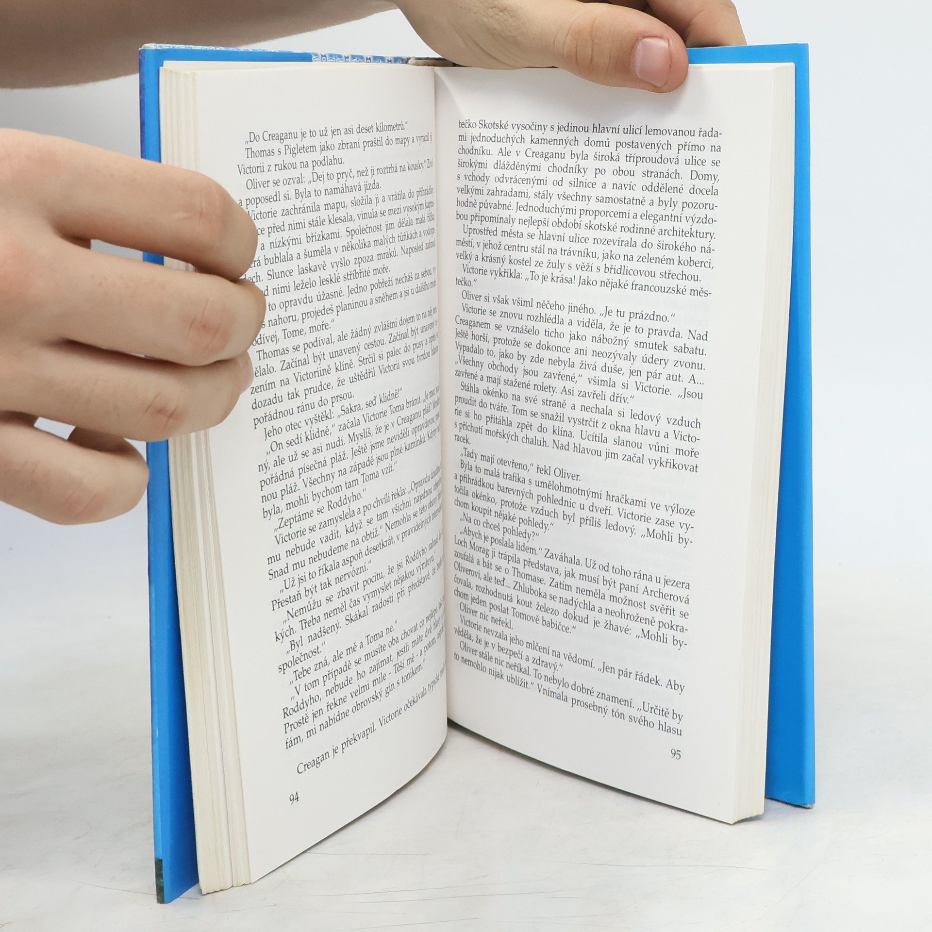 Rosamunde Pilcher Divoký tymián