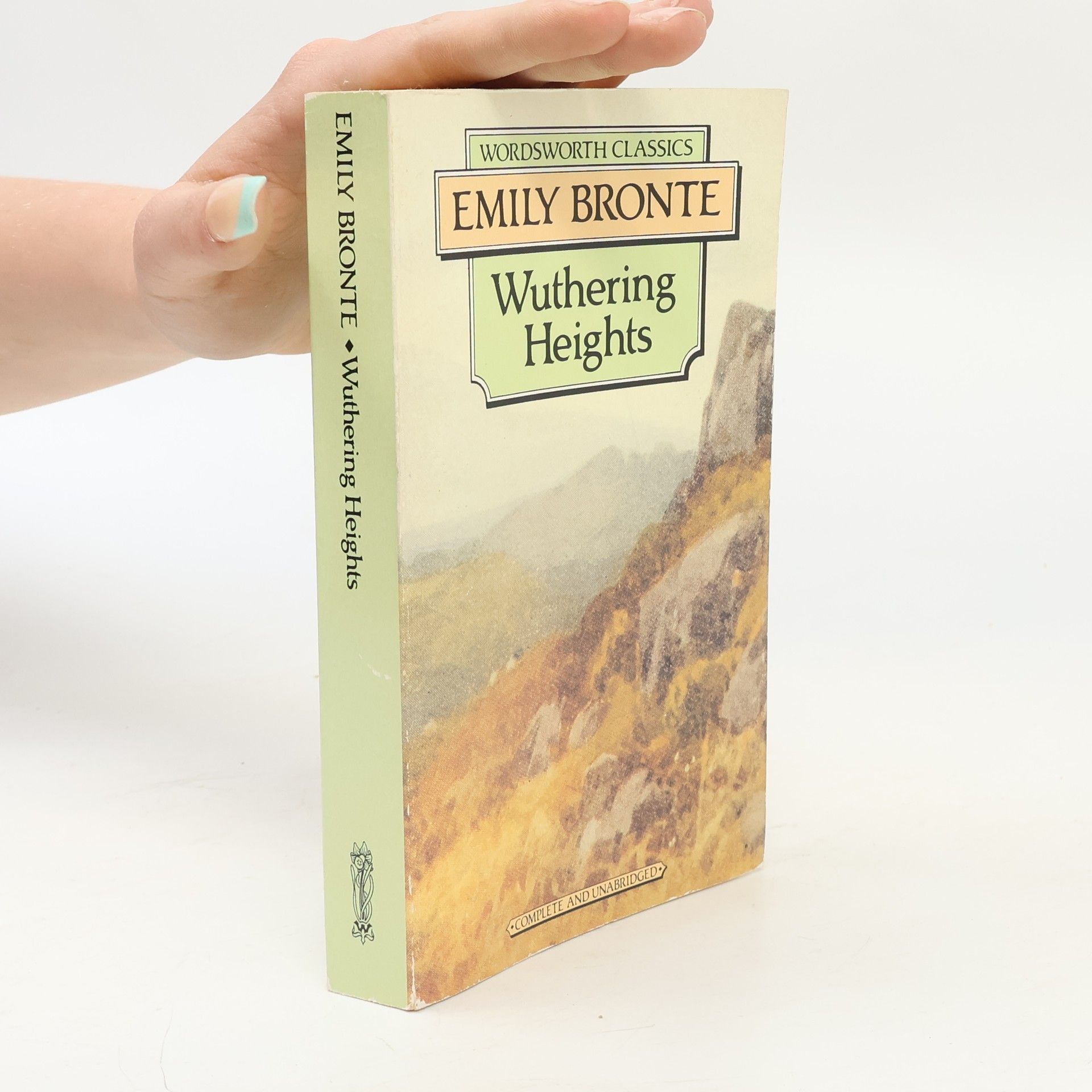 Emily Brontë Wuthering Heights